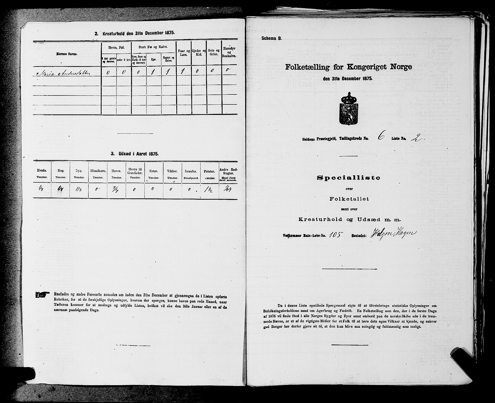 SAKO, Folketelling 1875 for 0819P Holla prestegjeld, 1875, s. 705