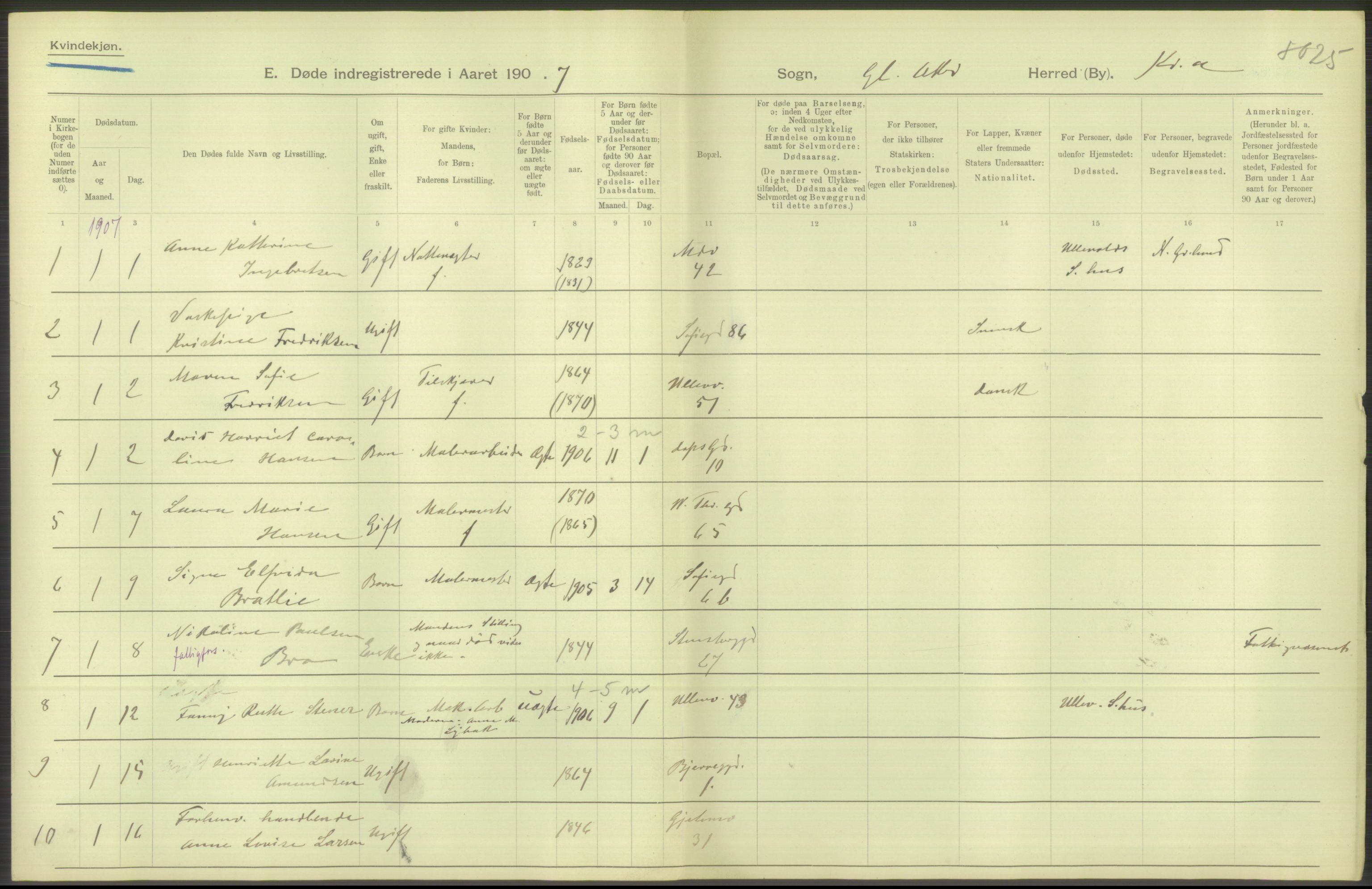 Statistisk sentralbyrå, Sosiodemografiske emner, Befolkning, RA/S-2228/D/Df/Dfa/Dfae/L0009: Kristiania: Døde, 1907, s. 262