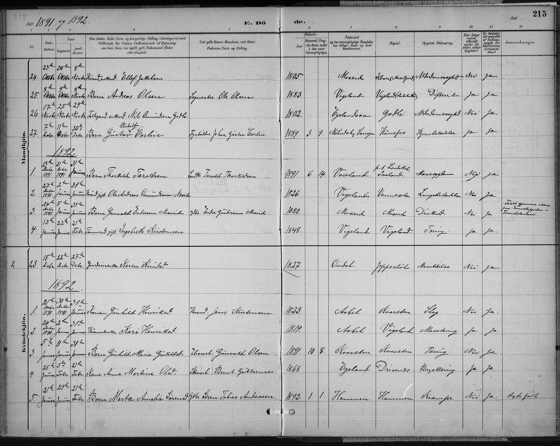 Vennesla sokneprestkontor, AV/SAK-1111-0045/Fa/Fab/L0004: Ministerialbok nr. A 4, 1884-1896, s. 215