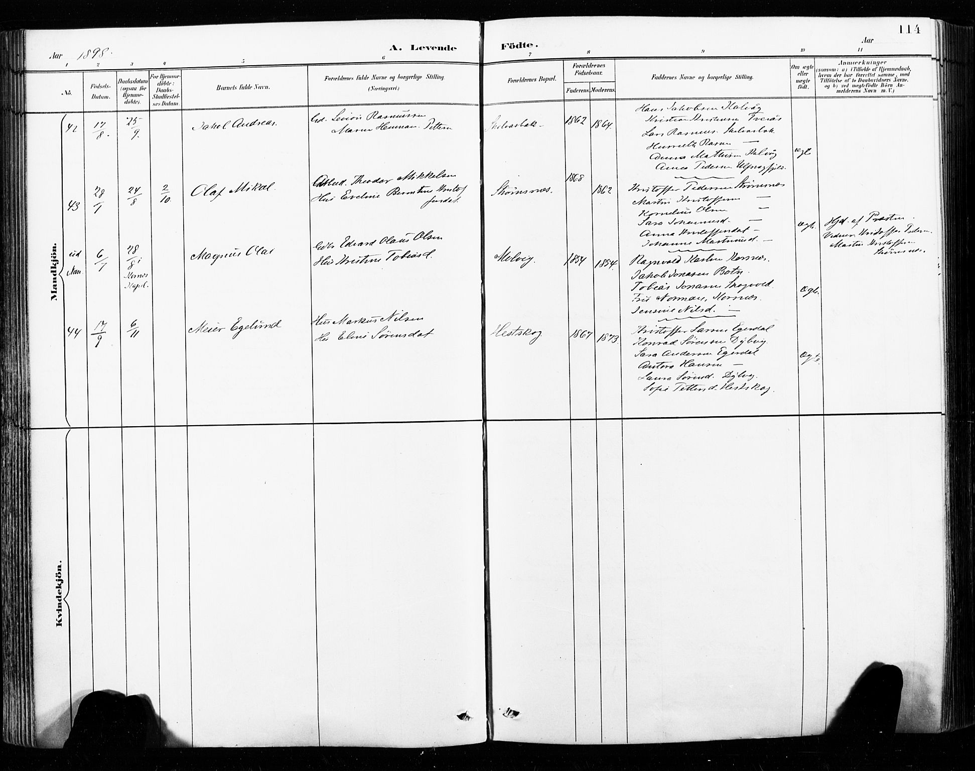 Ministerialprotokoller, klokkerbøker og fødselsregistre - Nordland, SAT/A-1459/859/L0847: Ministerialbok nr. 859A07, 1890-1899, s. 114
