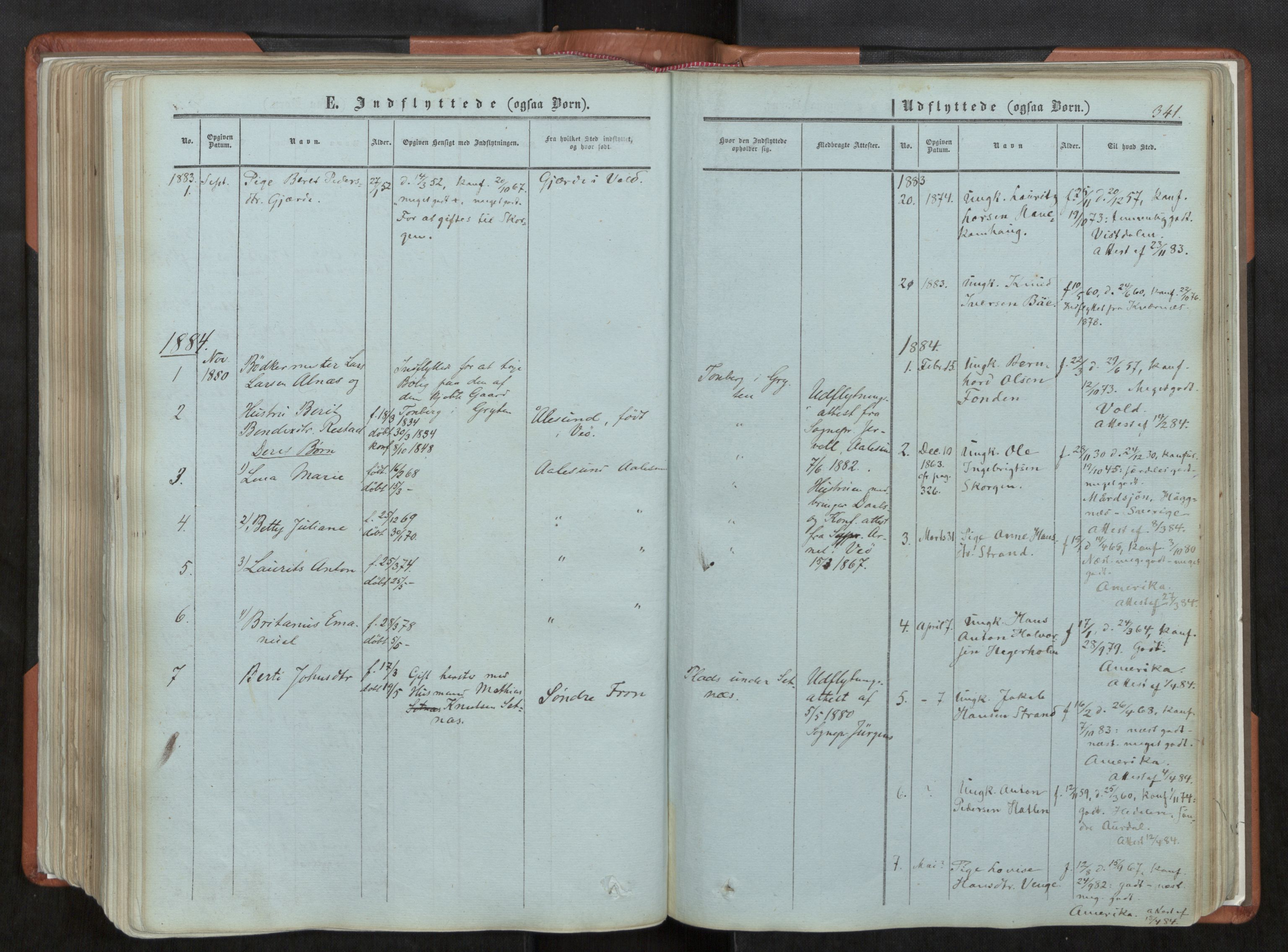 Ministerialprotokoller, klokkerbøker og fødselsregistre - Møre og Romsdal, AV/SAT-A-1454/544/L0572: Ministerialbok nr. 544A05, 1854-1886, s. 341
