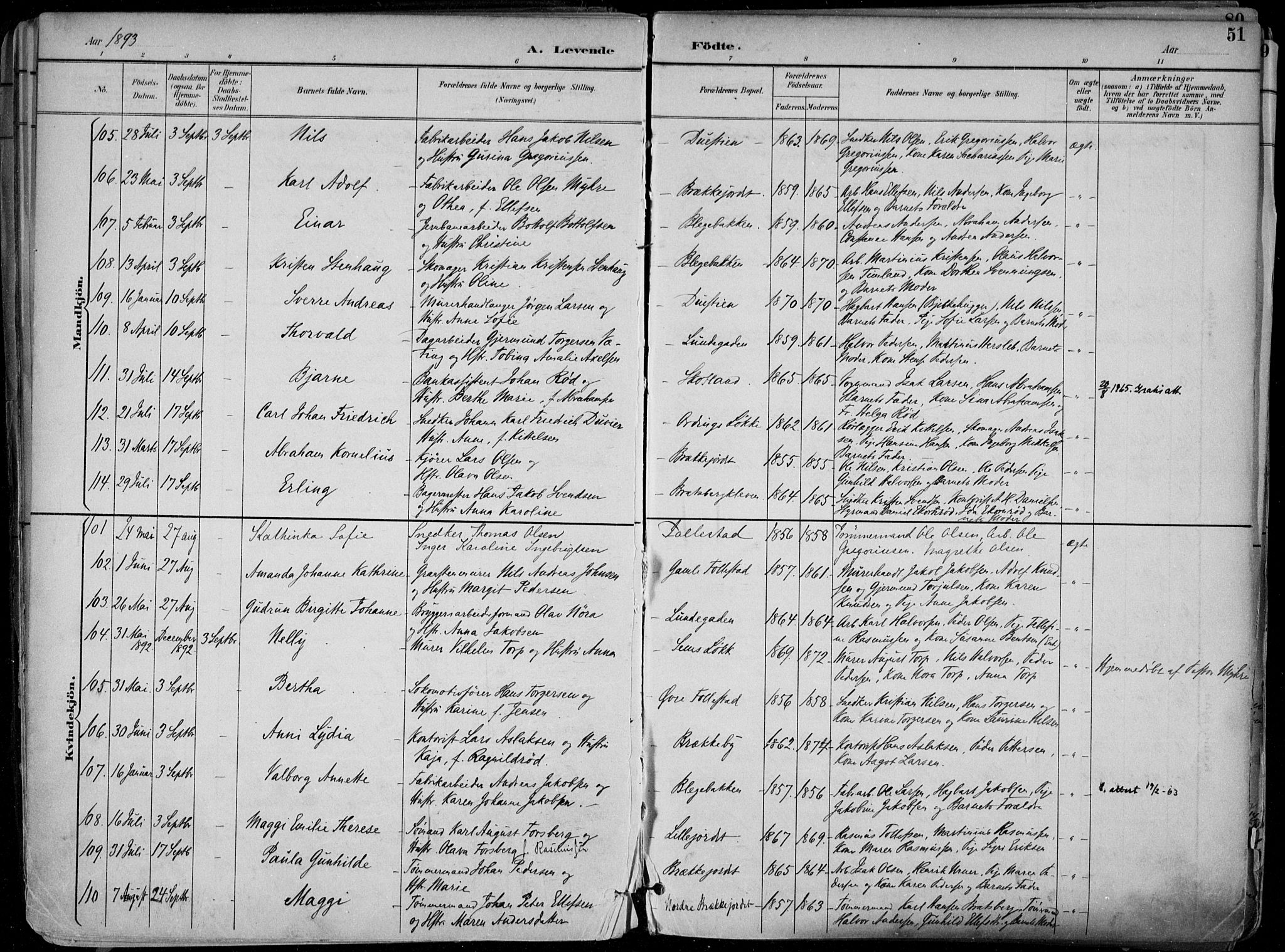 Skien kirkebøker, AV/SAKO-A-302/F/Fa/L0010: Ministerialbok nr. 10, 1891-1899, s. 51