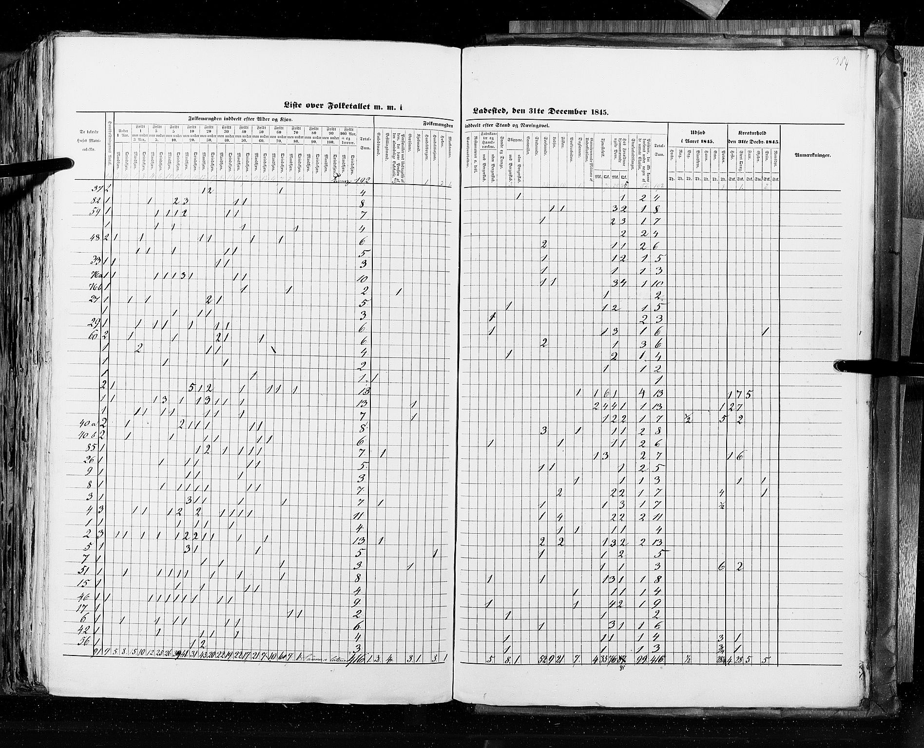 RA, Folketellingen 1845, bind 10: Kjøp- og ladesteder, 1845, s. 384