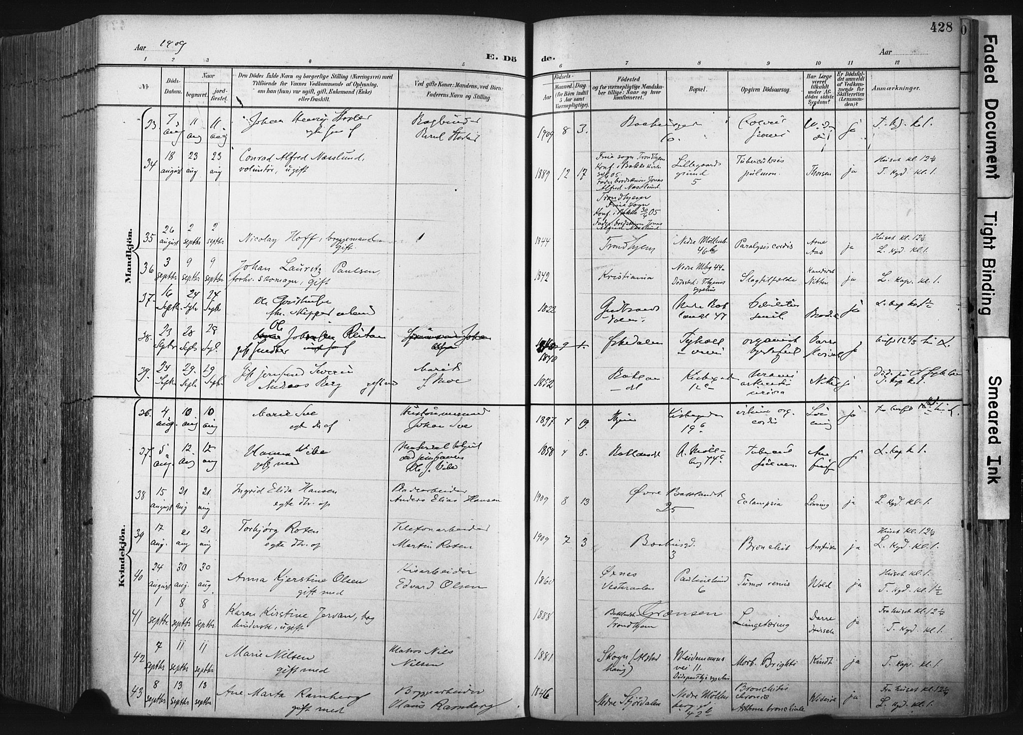 Ministerialprotokoller, klokkerbøker og fødselsregistre - Sør-Trøndelag, SAT/A-1456/604/L0201: Ministerialbok nr. 604A21, 1901-1911, s. 428