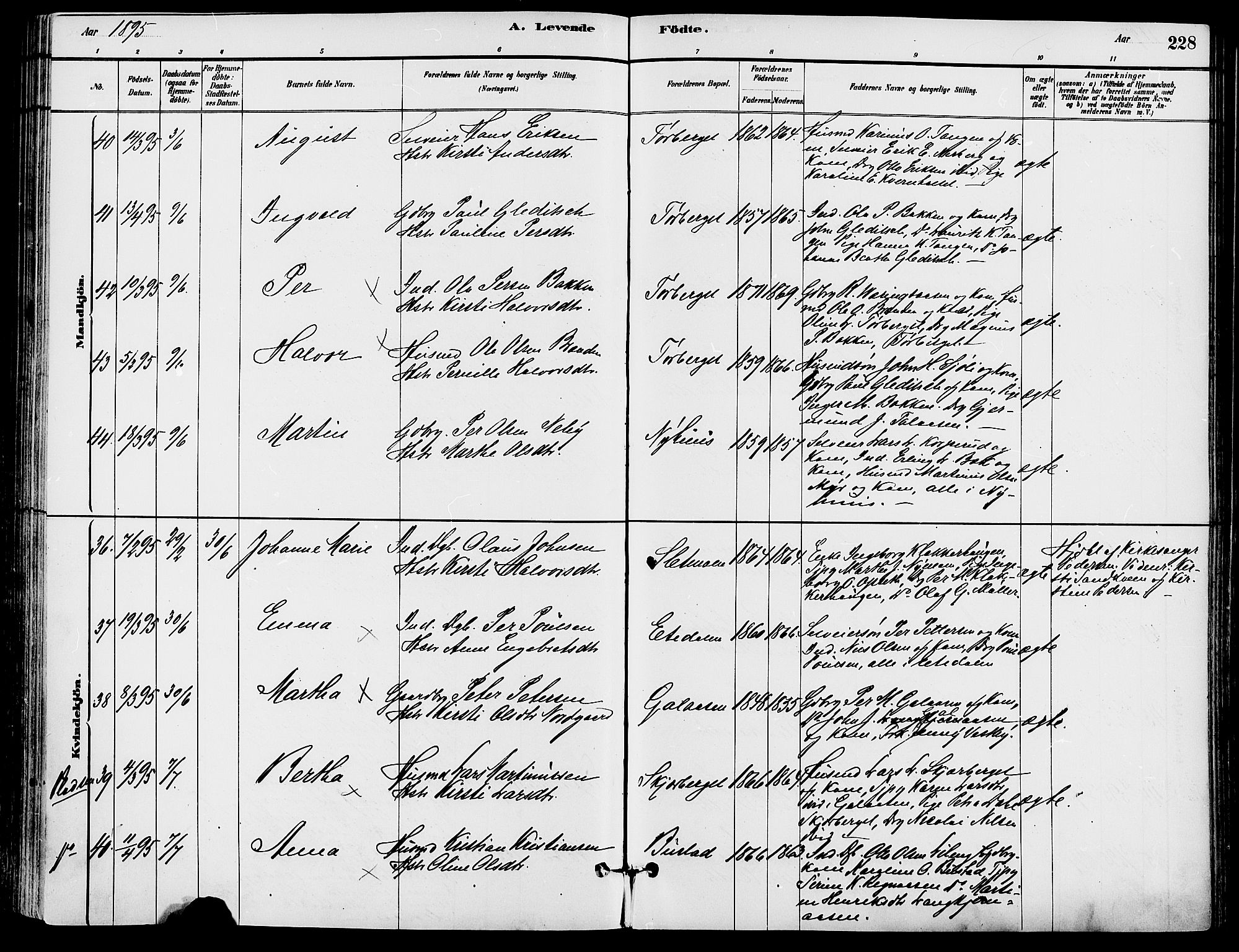 Trysil prestekontor, SAH/PREST-046/H/Ha/Haa/L0008: Ministerialbok nr. 8, 1881-1897, s. 228