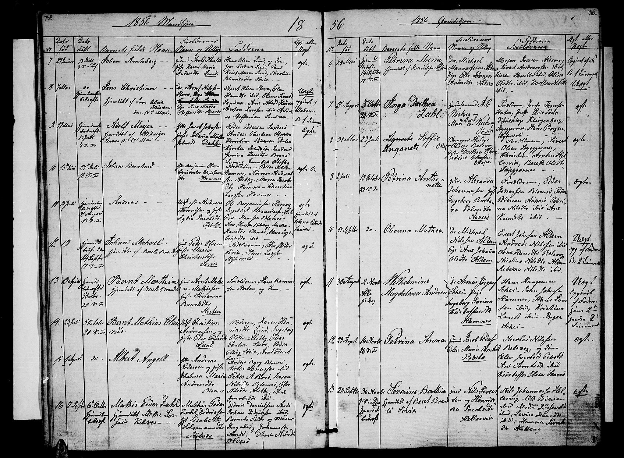 Ministerialprotokoller, klokkerbøker og fødselsregistre - Nordland, AV/SAT-A-1459/830/L0460: Klokkerbok nr. 830C02, 1843-1865, s. 35-36