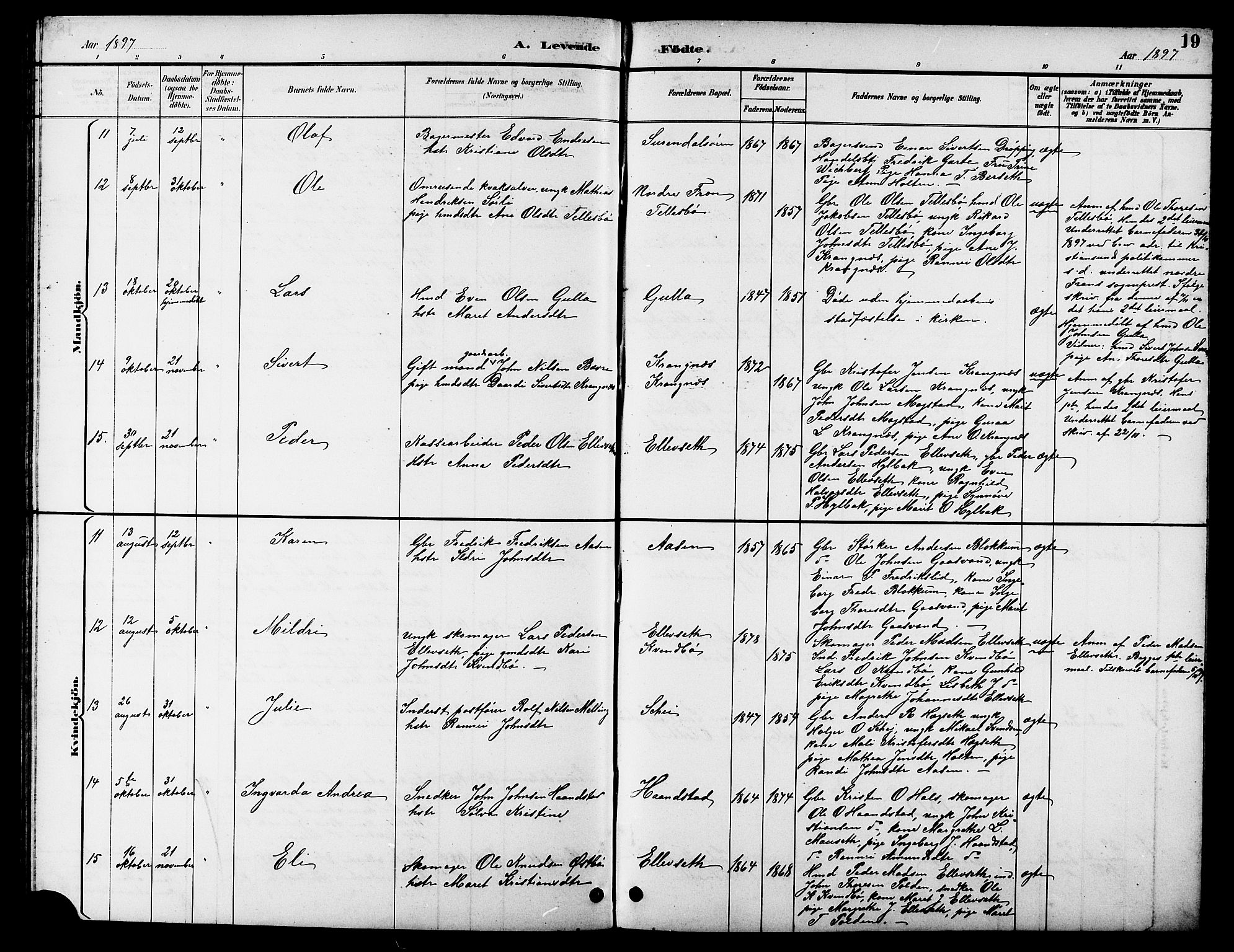 Ministerialprotokoller, klokkerbøker og fødselsregistre - Møre og Romsdal, AV/SAT-A-1454/596/L1058: Klokkerbok nr. 596C01, 1891-1907, s. 19