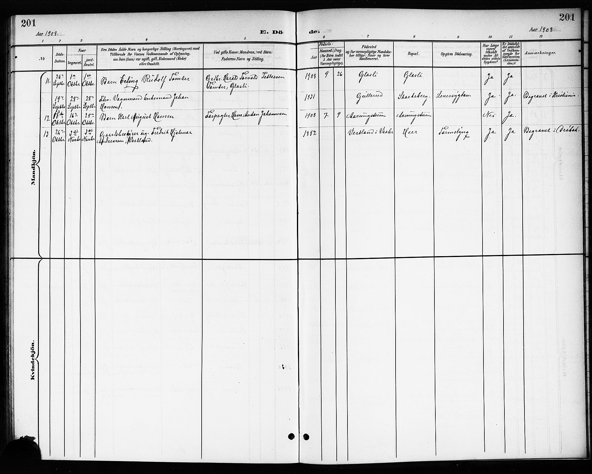 Drøbak prestekontor Kirkebøker, SAO/A-10142a/G/Gb/L0001: Klokkerbok nr. II 1, 1901-1919, s. 201