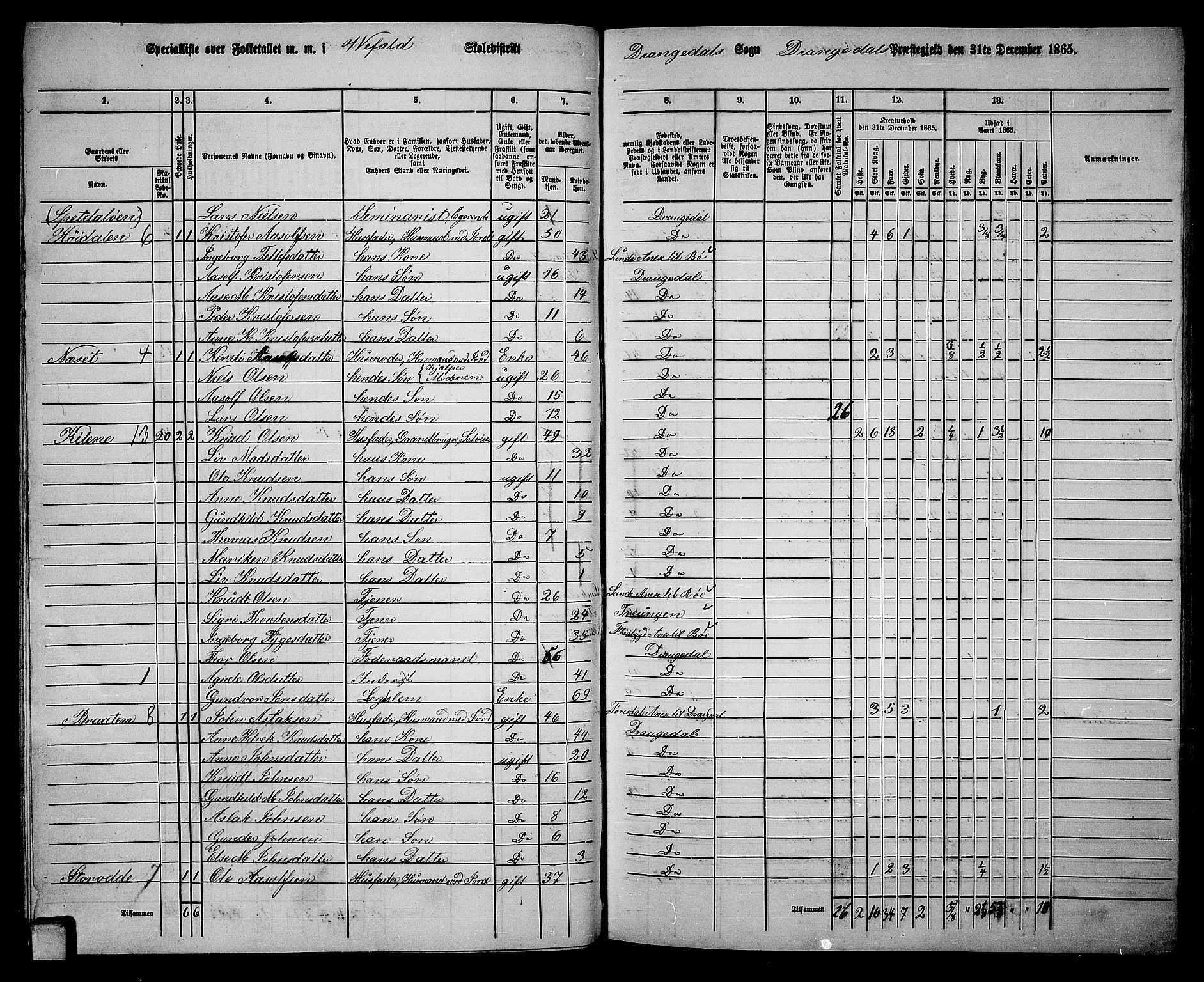 RA, Folketelling 1865 for 0817P Drangedal prestegjeld, 1865, s. 41