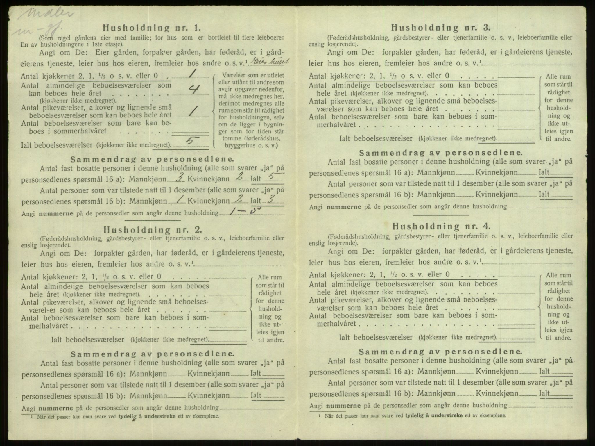 SAB, Folketelling 1920 for 1444 Hornindal herred, 1920, s. 210