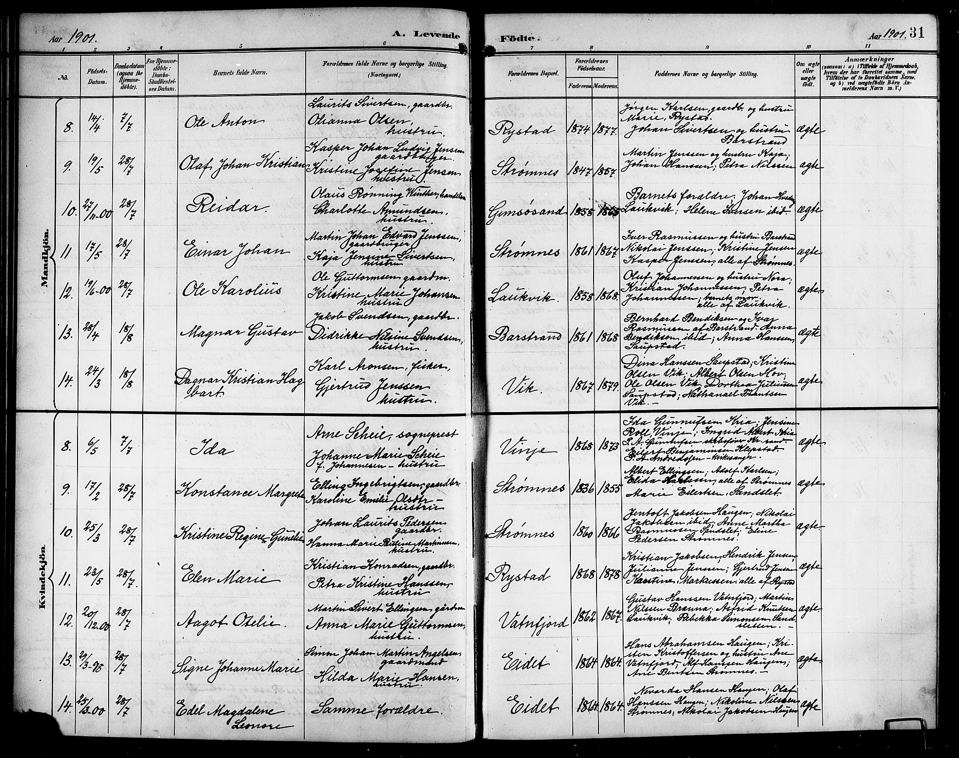 Ministerialprotokoller, klokkerbøker og fødselsregistre - Nordland, SAT/A-1459/876/L1105: Klokkerbok nr. 876C04, 1896-1914, s. 31