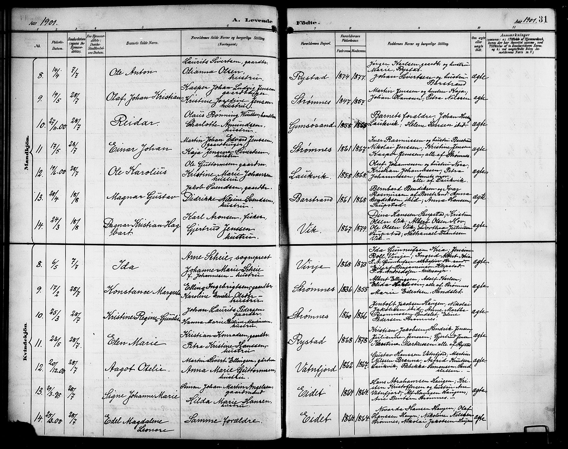 Ministerialprotokoller, klokkerbøker og fødselsregistre - Nordland, AV/SAT-A-1459/876/L1105: Klokkerbok nr. 876C04, 1896-1914, s. 31