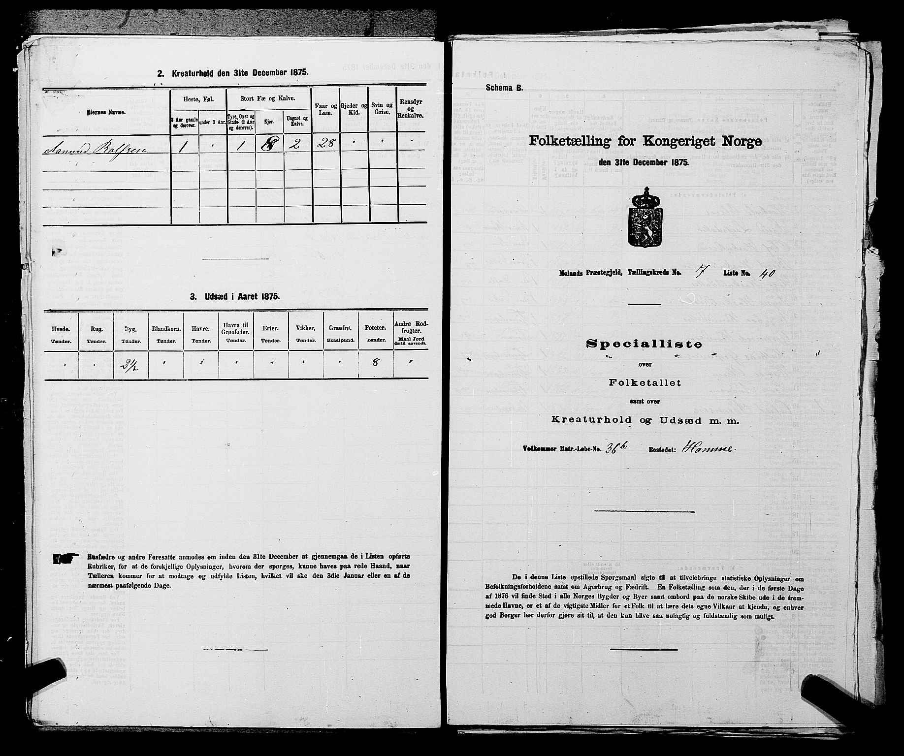 SAKO, Folketelling 1875 for 0831P Moland prestegjeld, 1875, s. 705