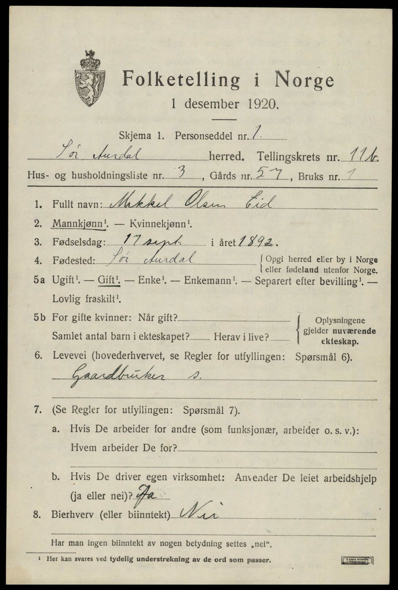 SAH, Folketelling 1920 for 0540 Sør-Aurdal herred, 1920, s. 6285