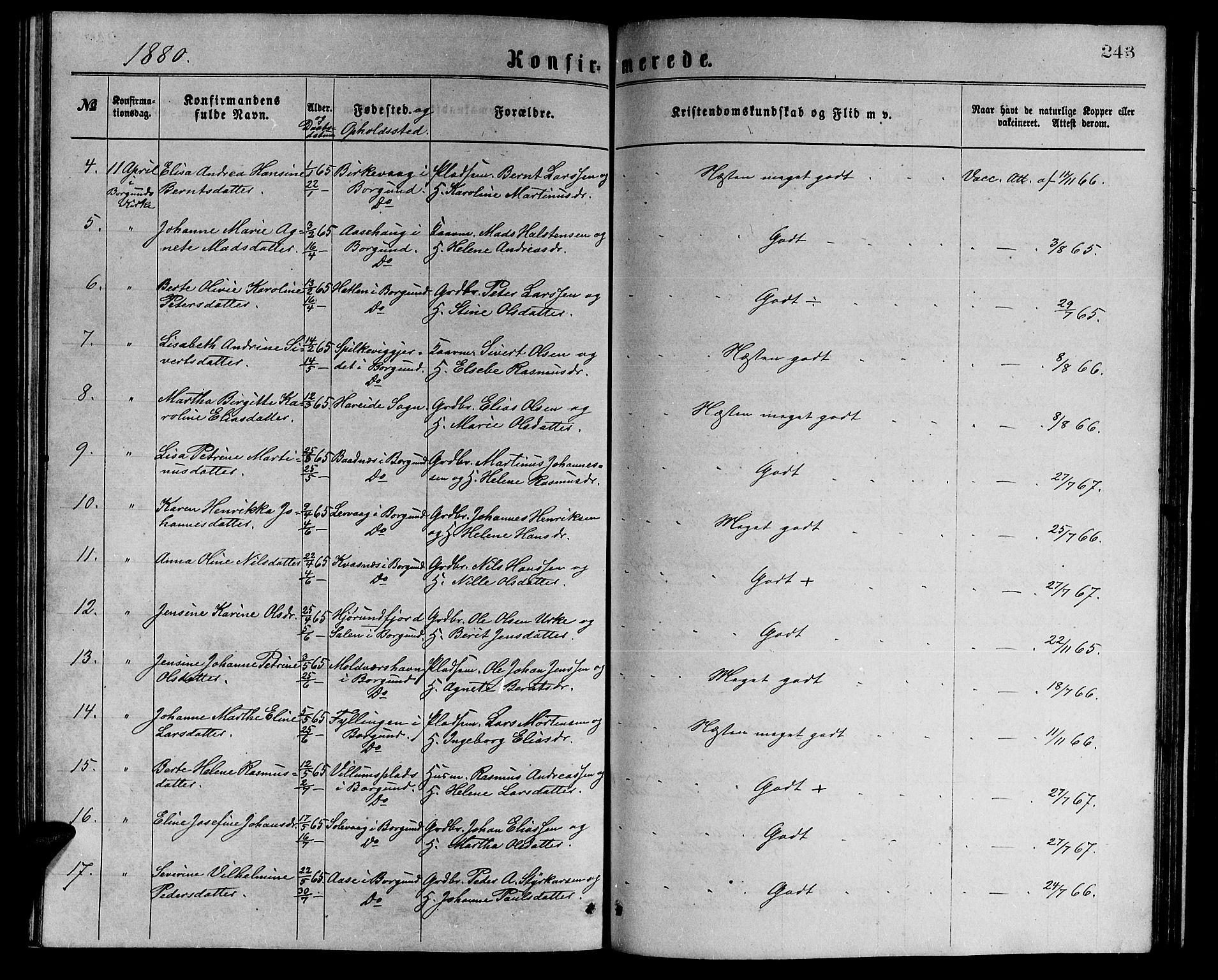 Ministerialprotokoller, klokkerbøker og fødselsregistre - Møre og Romsdal, AV/SAT-A-1454/528/L0429: Klokkerbok nr. 528C10, 1872-1886, s. 243