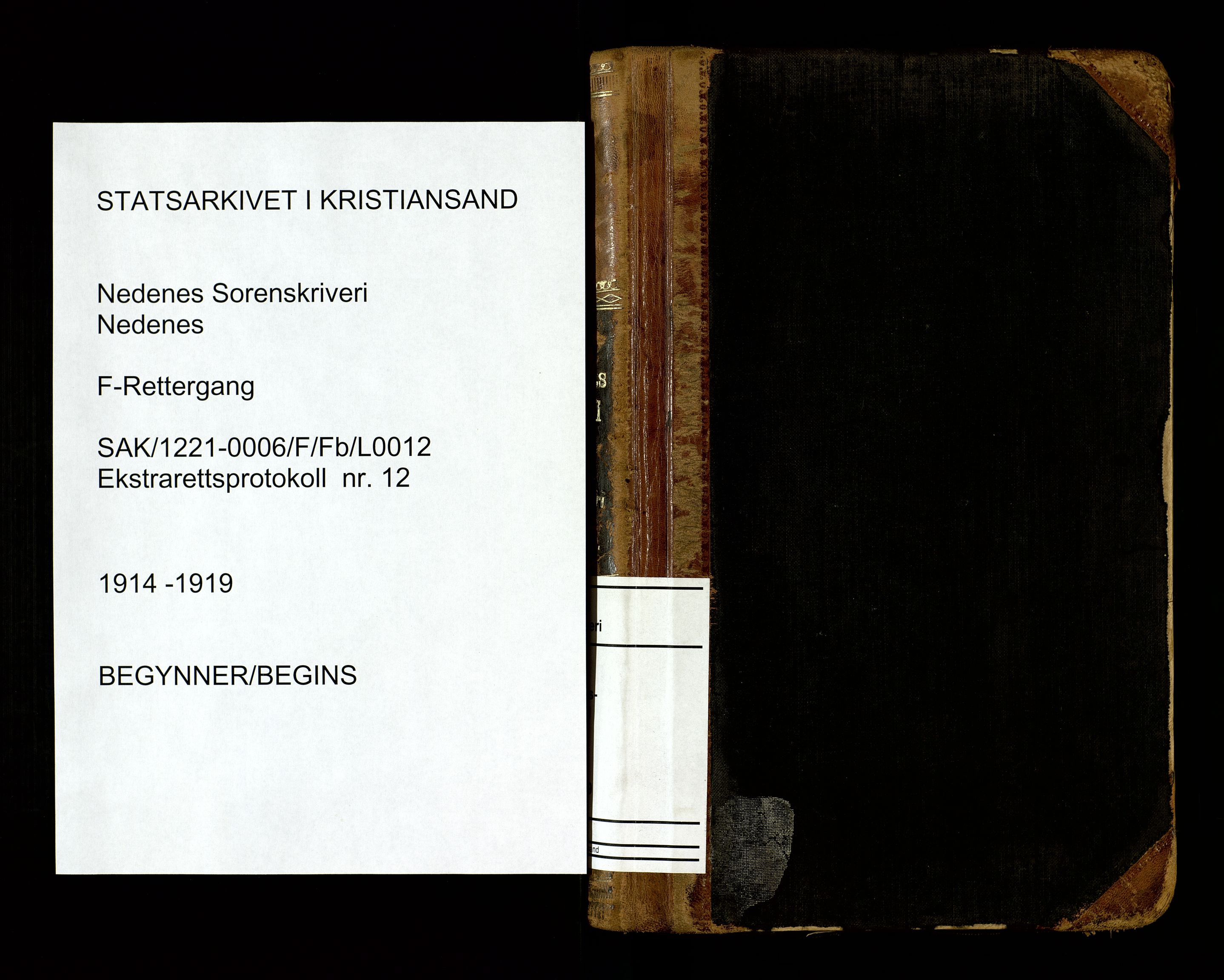 Nedenes sorenskriveri, SAK/1221-0006/F/Fb/L0012: Ekstrarettsprotokoll nr 12, 1914-1919