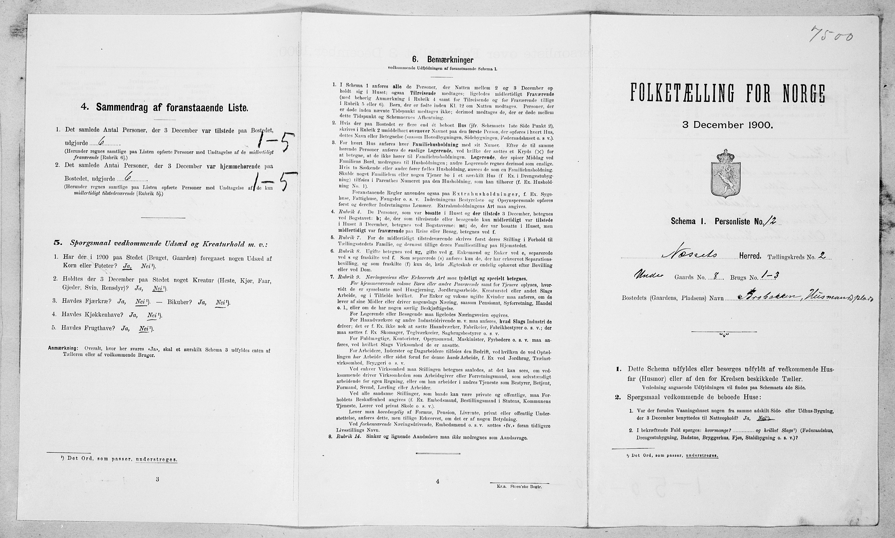 SAT, Folketelling 1900 for 1543 Nesset herred, 1900, s. 116