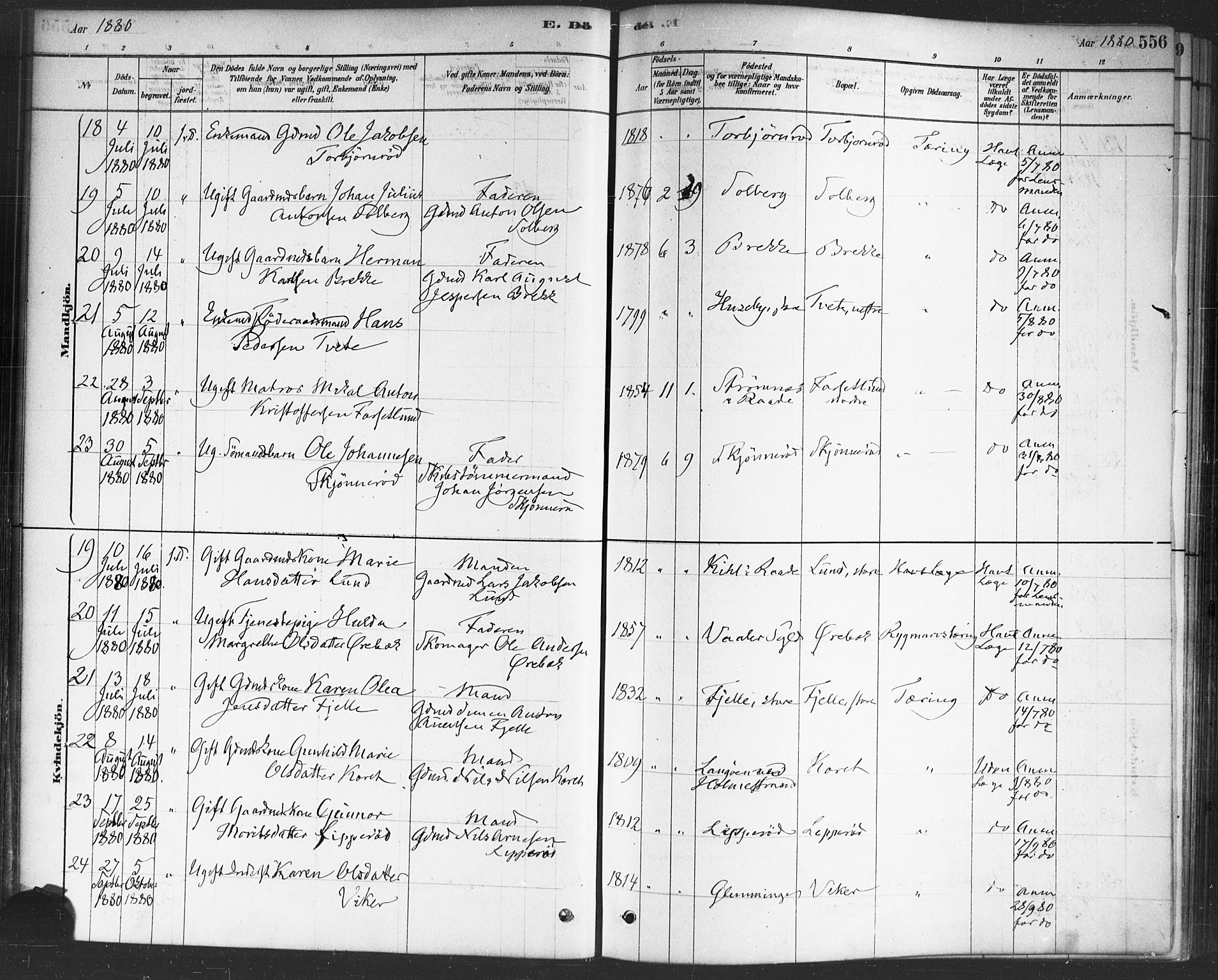 Onsøy prestekontor Kirkebøker, AV/SAO-A-10914/F/Fa/L0006: Ministerialbok nr. I 6, 1878-1898, s. 556