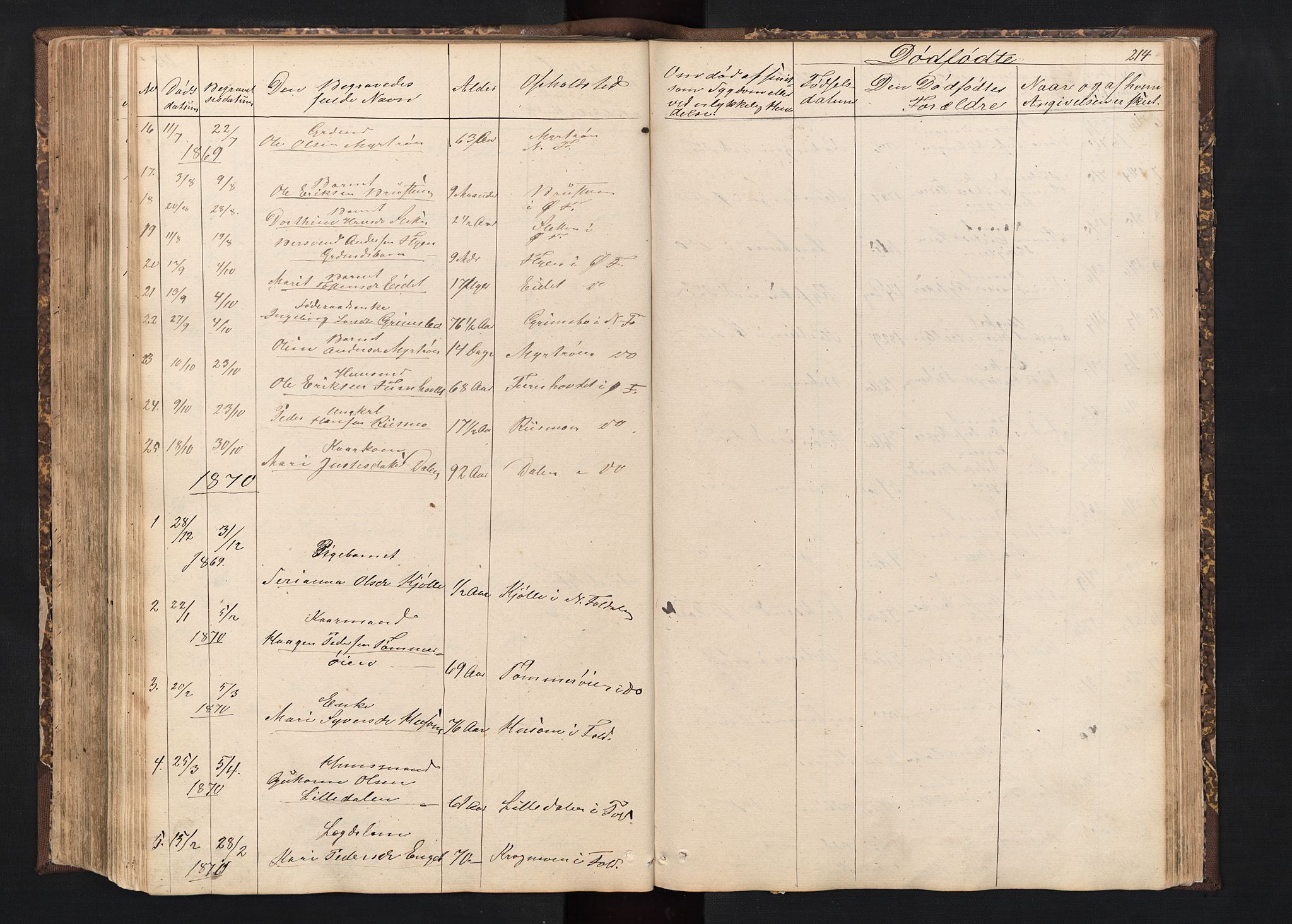 Alvdal prestekontor, AV/SAH-PREST-060/H/Ha/Hab/L0001: Klokkerbok nr. 1, 1857-1893, s. 214