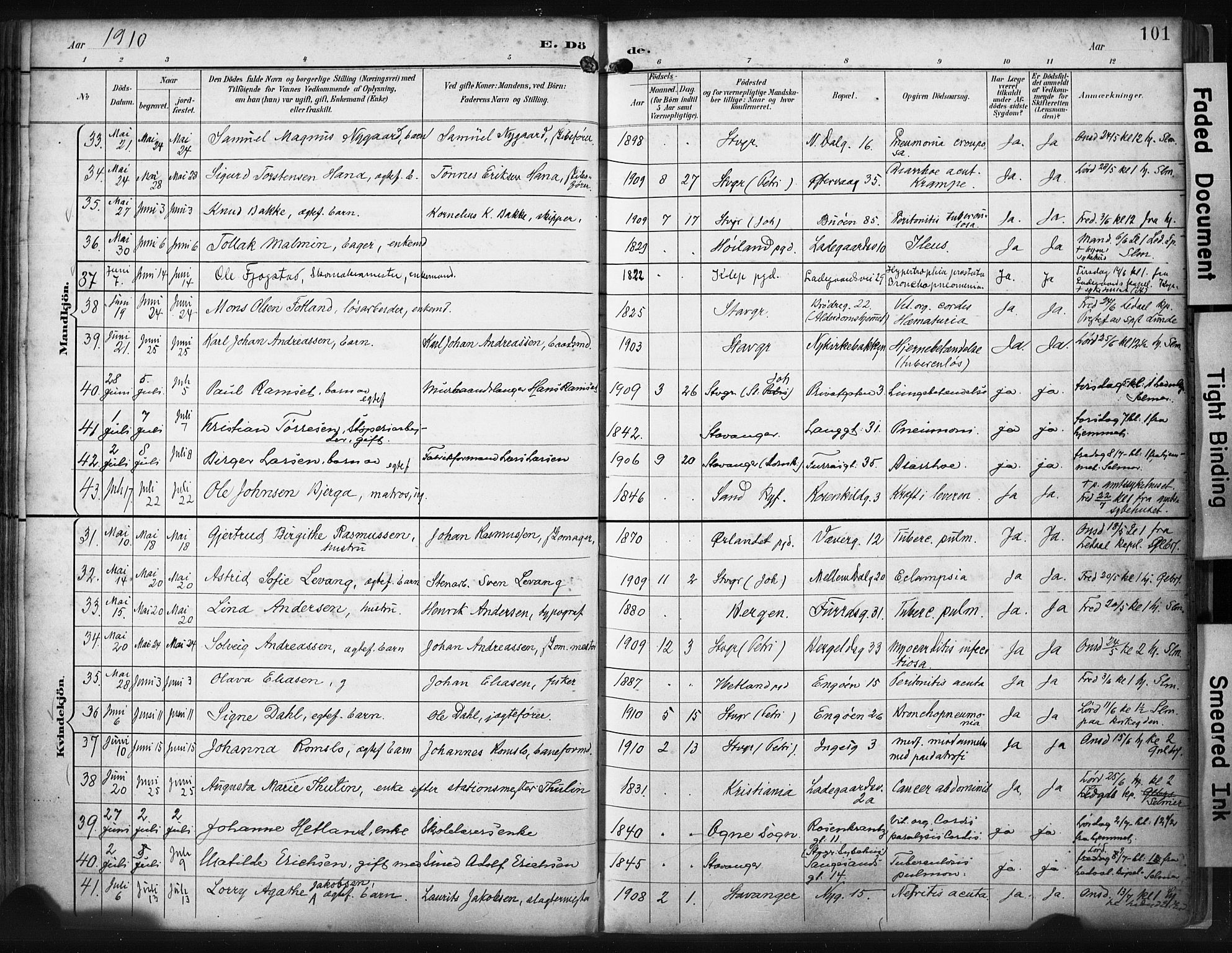 St. Petri sokneprestkontor, AV/SAST-A-101813/001/30/30BA/L0022: Ministerialbok nr. A 22, 1895-1919, s. 101