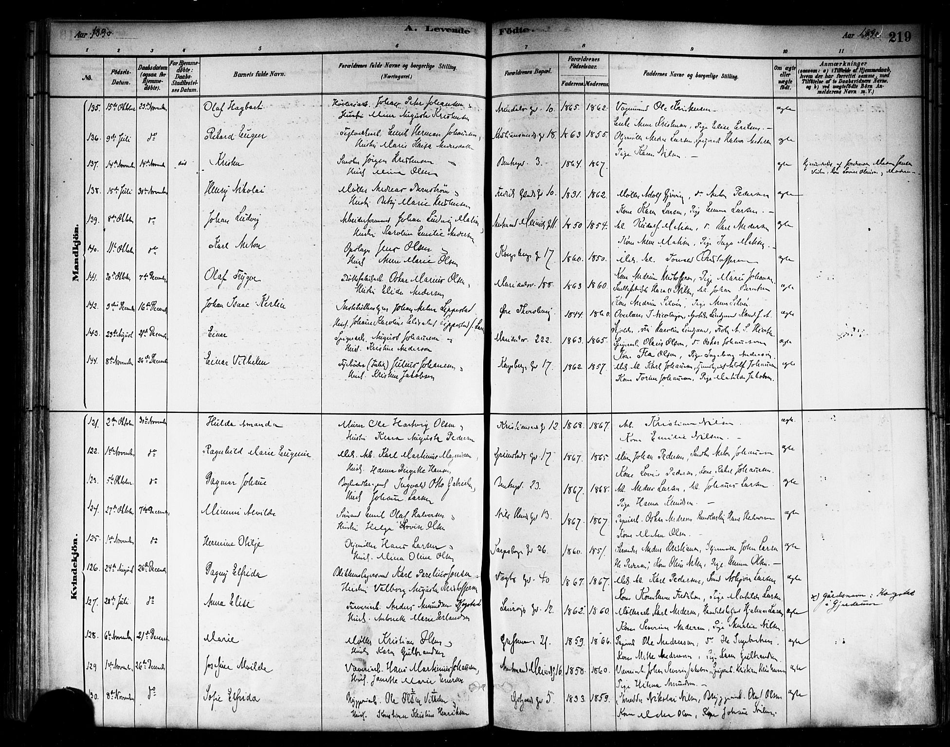 Sagene prestekontor Kirkebøker, AV/SAO-A-10796/F/L0001: Ministerialbok nr. 1, 1880-1893, s. 219