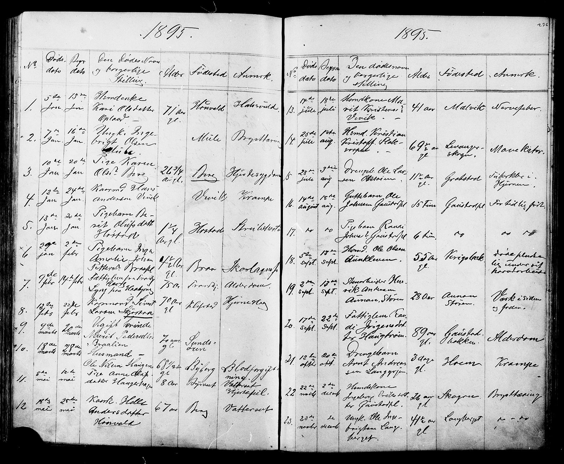 Ministerialprotokoller, klokkerbøker og fødselsregistre - Sør-Trøndelag, AV/SAT-A-1456/612/L0387: Klokkerbok nr. 612C03, 1874-1908, s. 236