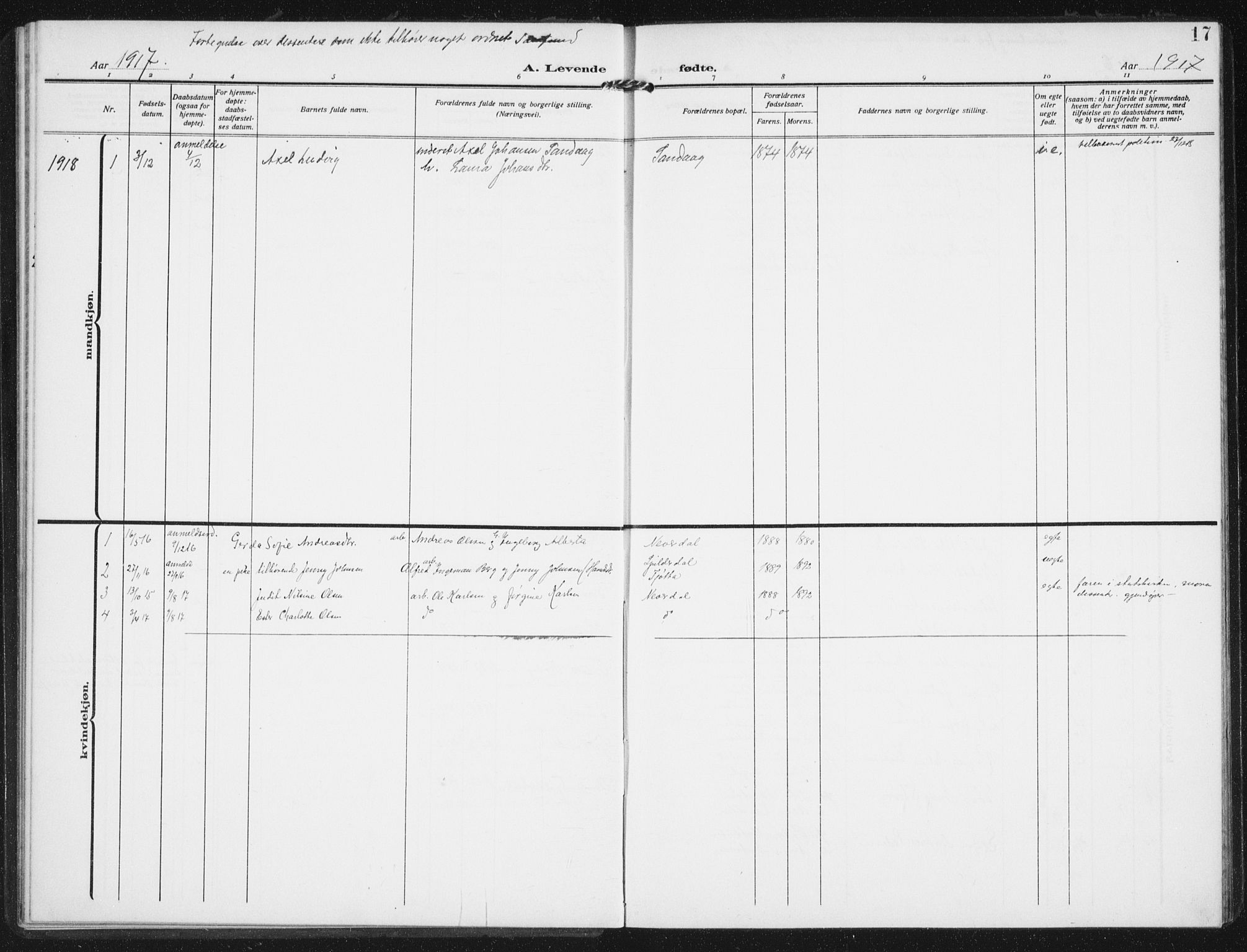 Ministerialprotokoller, klokkerbøker og fødselsregistre - Nordland, SAT/A-1459/843/L0629: Ministerialbok nr. 843A04, 1907-1925, s. 17