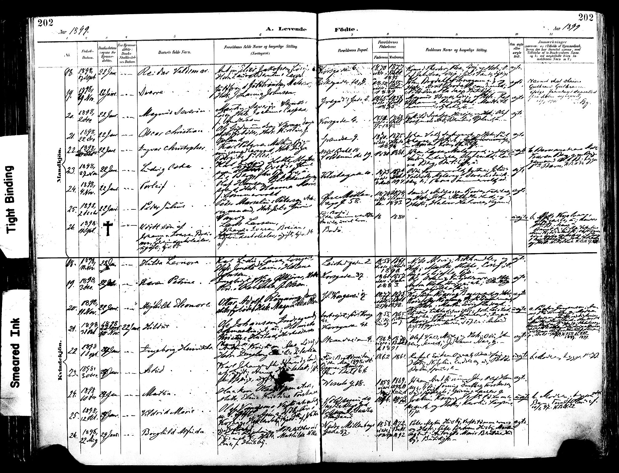 Ministerialprotokoller, klokkerbøker og fødselsregistre - Sør-Trøndelag, SAT/A-1456/604/L0197: Ministerialbok nr. 604A18, 1893-1900, s. 202