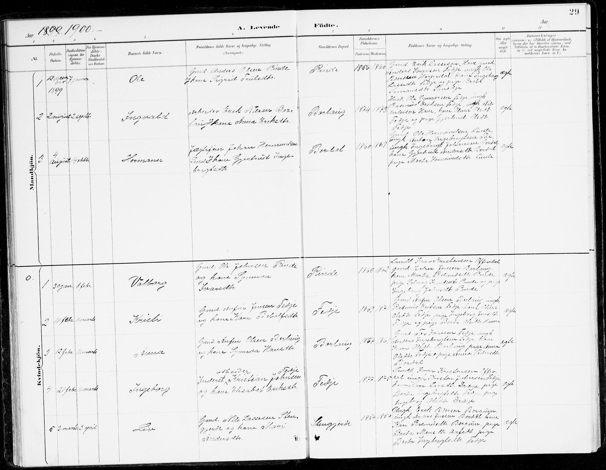 Leikanger sokneprestembete, AV/SAB-A-81001/H/Haa/Haad/L0001: Ministerialbok nr. D 1, 1887-1922, s. 29