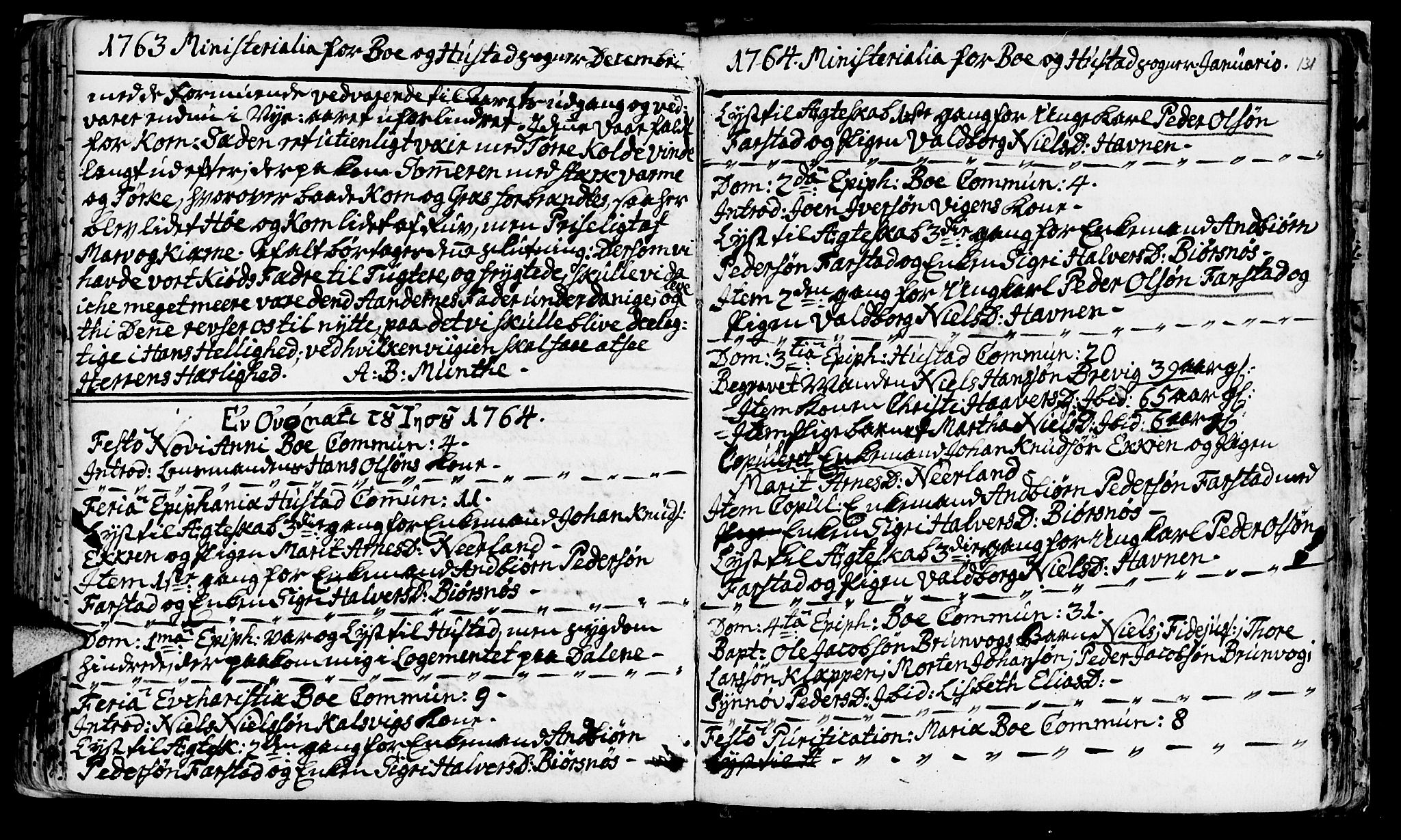 Ministerialprotokoller, klokkerbøker og fødselsregistre - Møre og Romsdal, AV/SAT-A-1454/566/L0760: Ministerialbok nr. 566A01, 1739-1766, s. 131