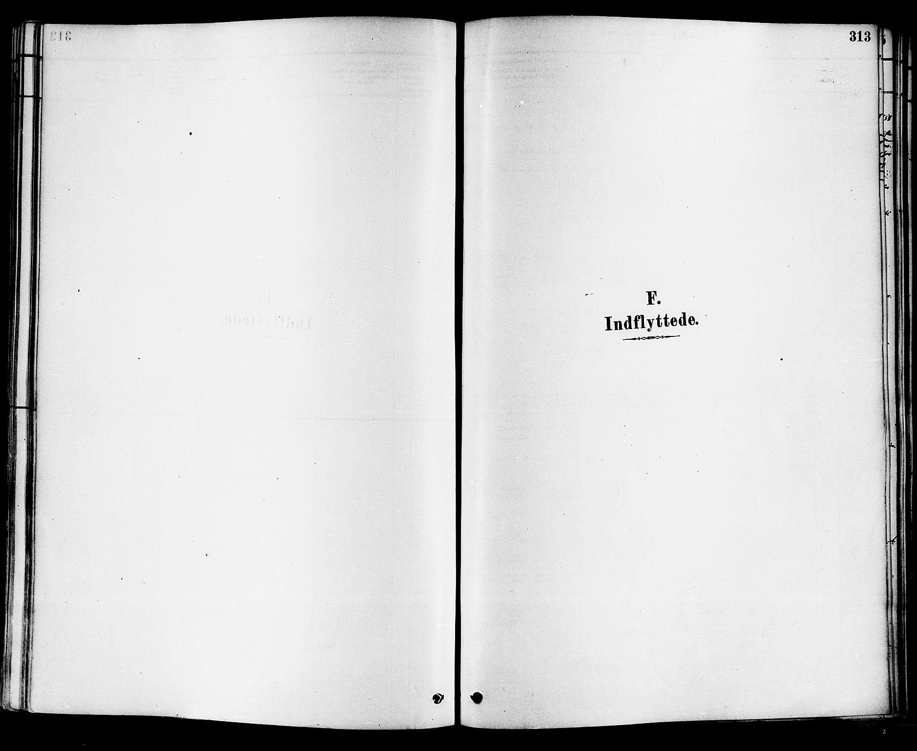 Sande Kirkebøker, SAKO/A-53/F/Fa/L0006: Ministerialbok nr. 6, 1878-1888, s. 313