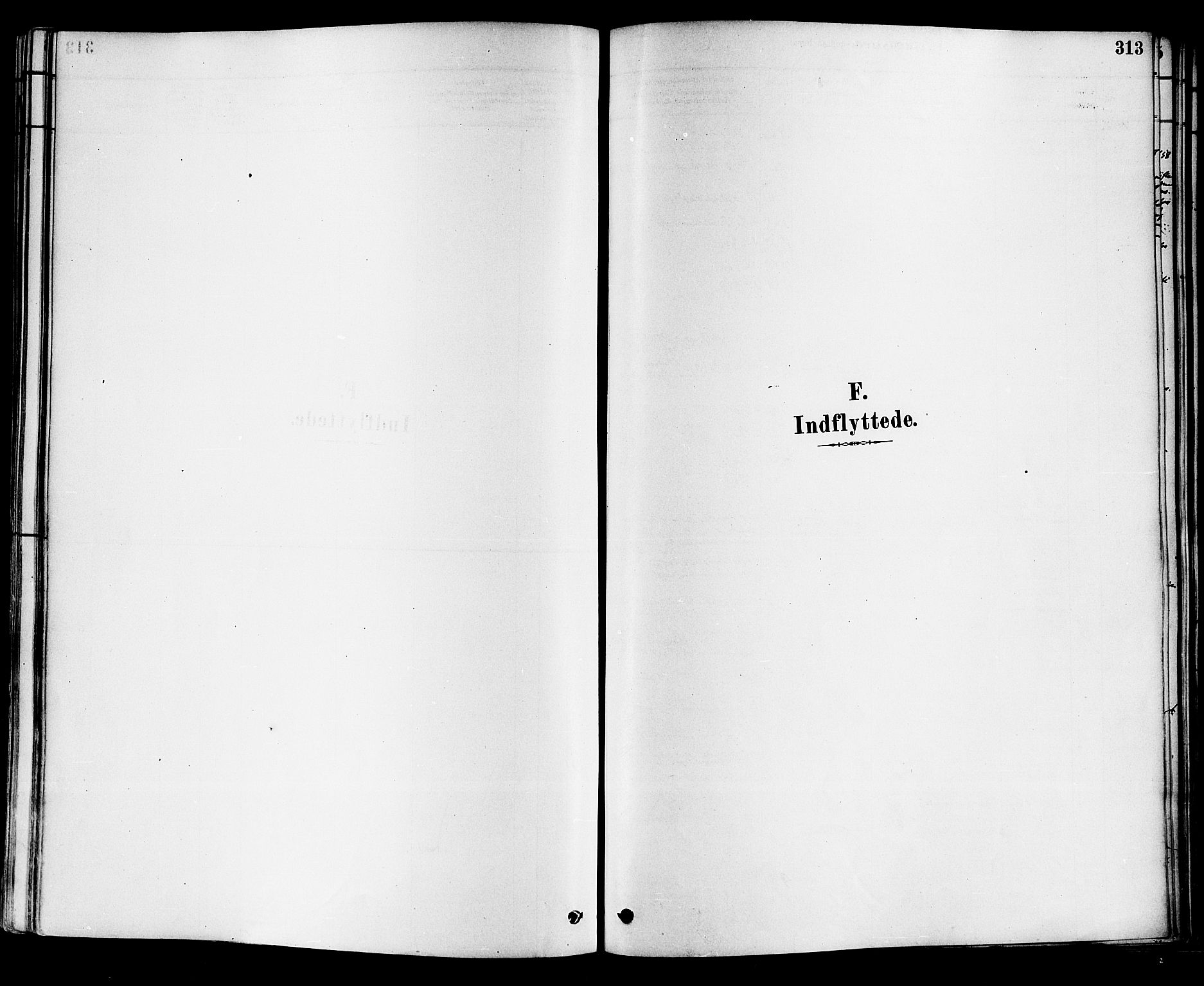 Sande Kirkebøker, AV/SAKO-A-53/F/Fa/L0006: Ministerialbok nr. 6, 1878-1888, s. 313
