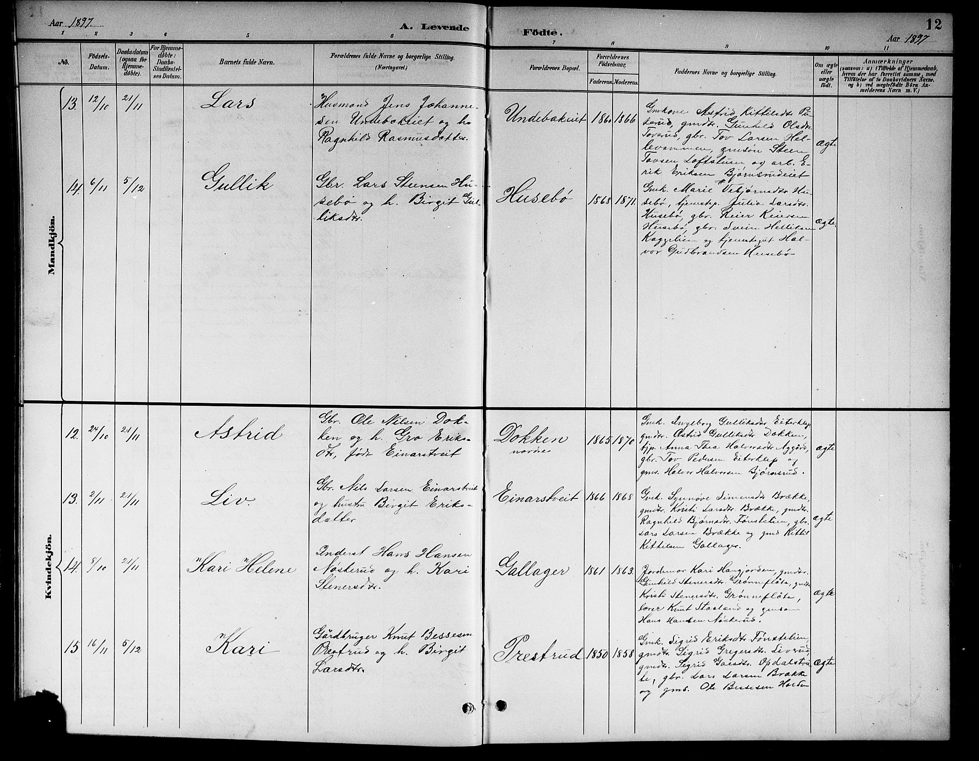 Nore kirkebøker, AV/SAKO-A-238/G/Gb/L0003: Klokkerbok nr. II 3, 1894-1923, s. 12