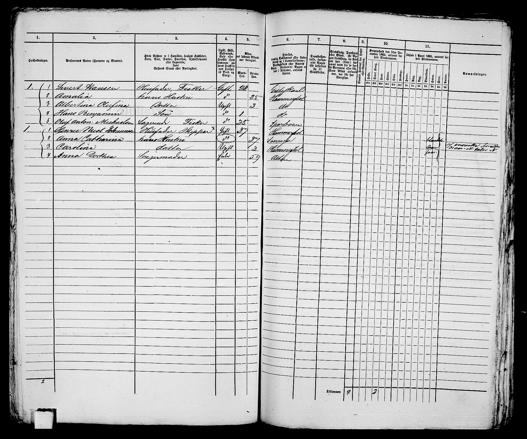 RA, Folketelling 1865 for 2001B Hammerfest prestegjeld, Hammerfest kjøpstad, 1865, s. 274