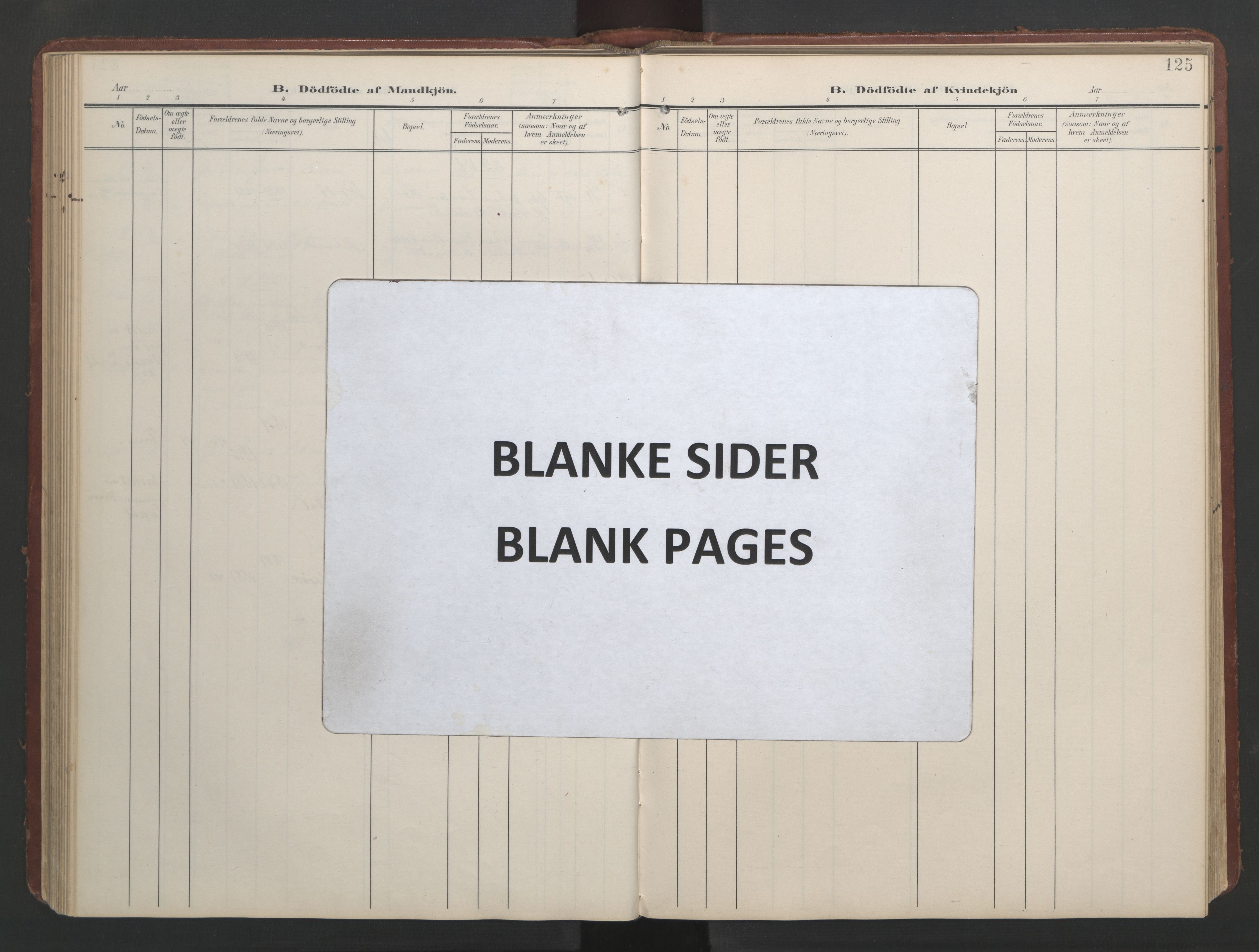 Ministerialprotokoller, klokkerbøker og fødselsregistre - Møre og Romsdal, SAT/A-1454/513/L0190: Klokkerbok nr. 513C04, 1904-1926, s. 125