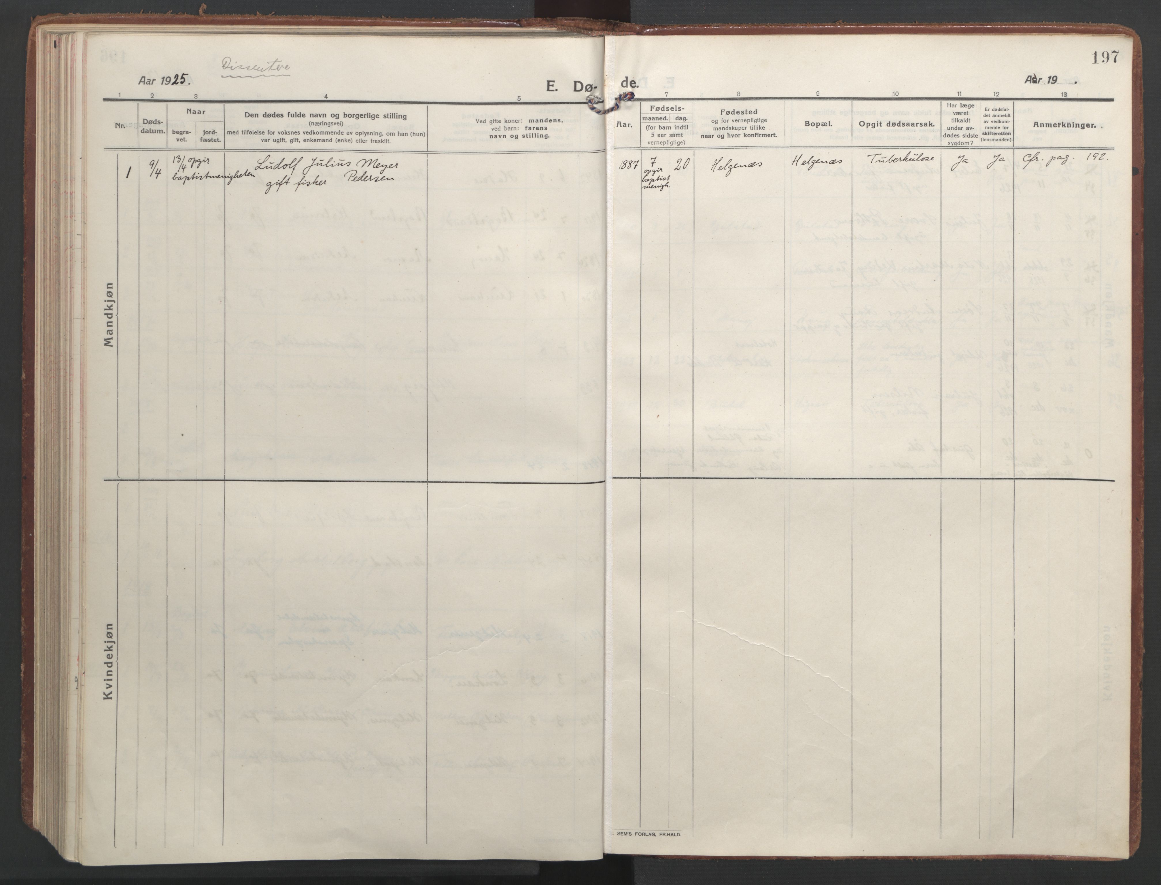 Ministerialprotokoller, klokkerbøker og fødselsregistre - Nordland, AV/SAT-A-1459/888/L1251: Ministerialbok nr. 888A17, 1913-1925, s. 197