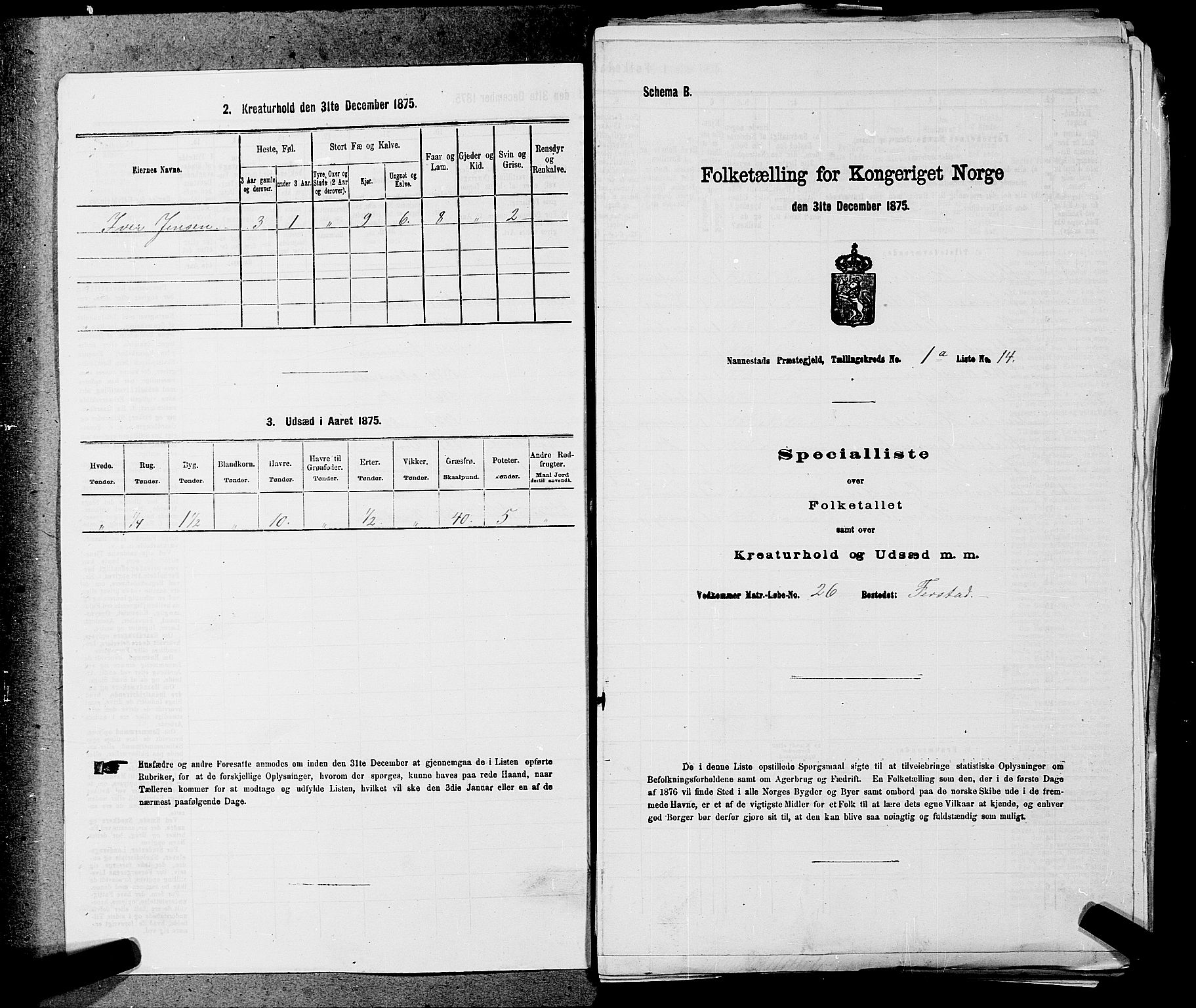 RA, Folketelling 1875 for 0238P Nannestad prestegjeld, 1875, s. 39