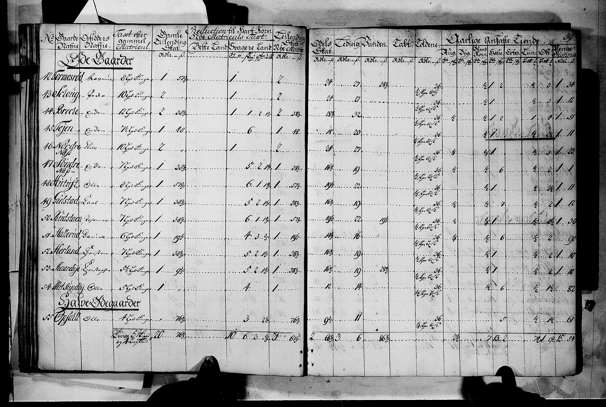 Rentekammeret inntil 1814, Realistisk ordnet avdeling, AV/RA-EA-4070/N/Nb/Nbf/L0116: Jarlsberg grevskap matrikkelprotokoll, 1723, s. 38b-39a