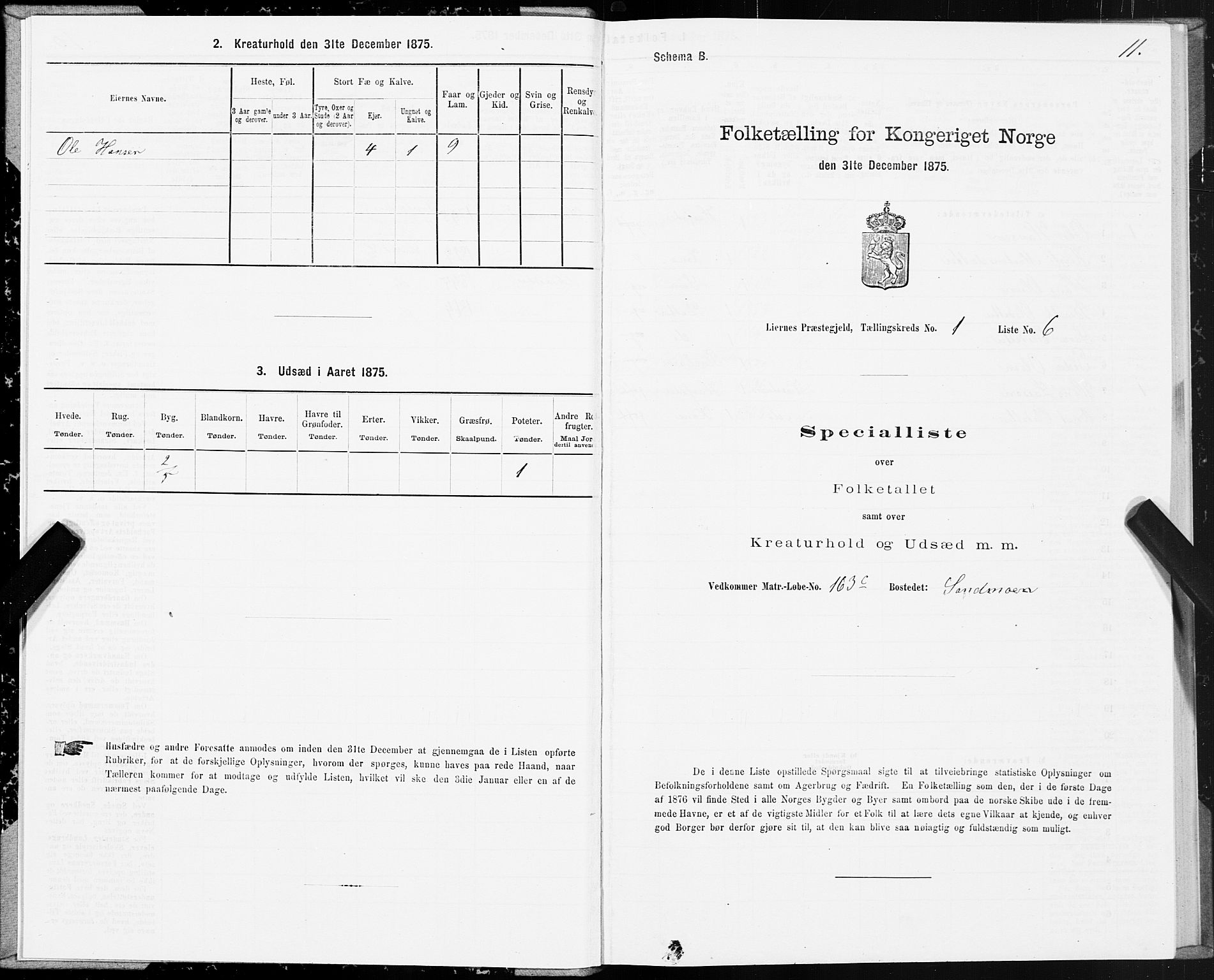 SAT, Folketelling 1875 for 1737P Lierne prestegjeld, 1875, s. 1011