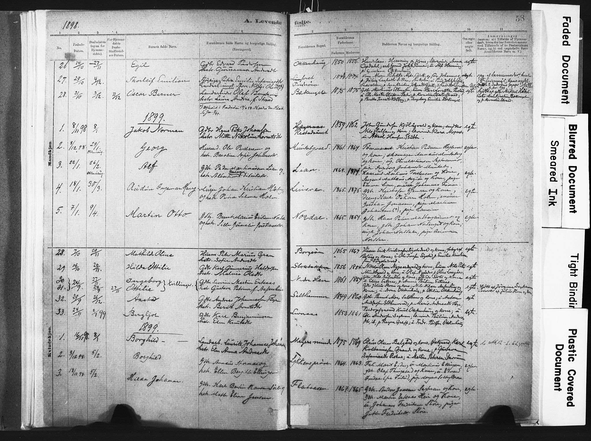 Ministerialprotokoller, klokkerbøker og fødselsregistre - Nord-Trøndelag, AV/SAT-A-1458/721/L0207: Ministerialbok nr. 721A02, 1880-1911, s. 58