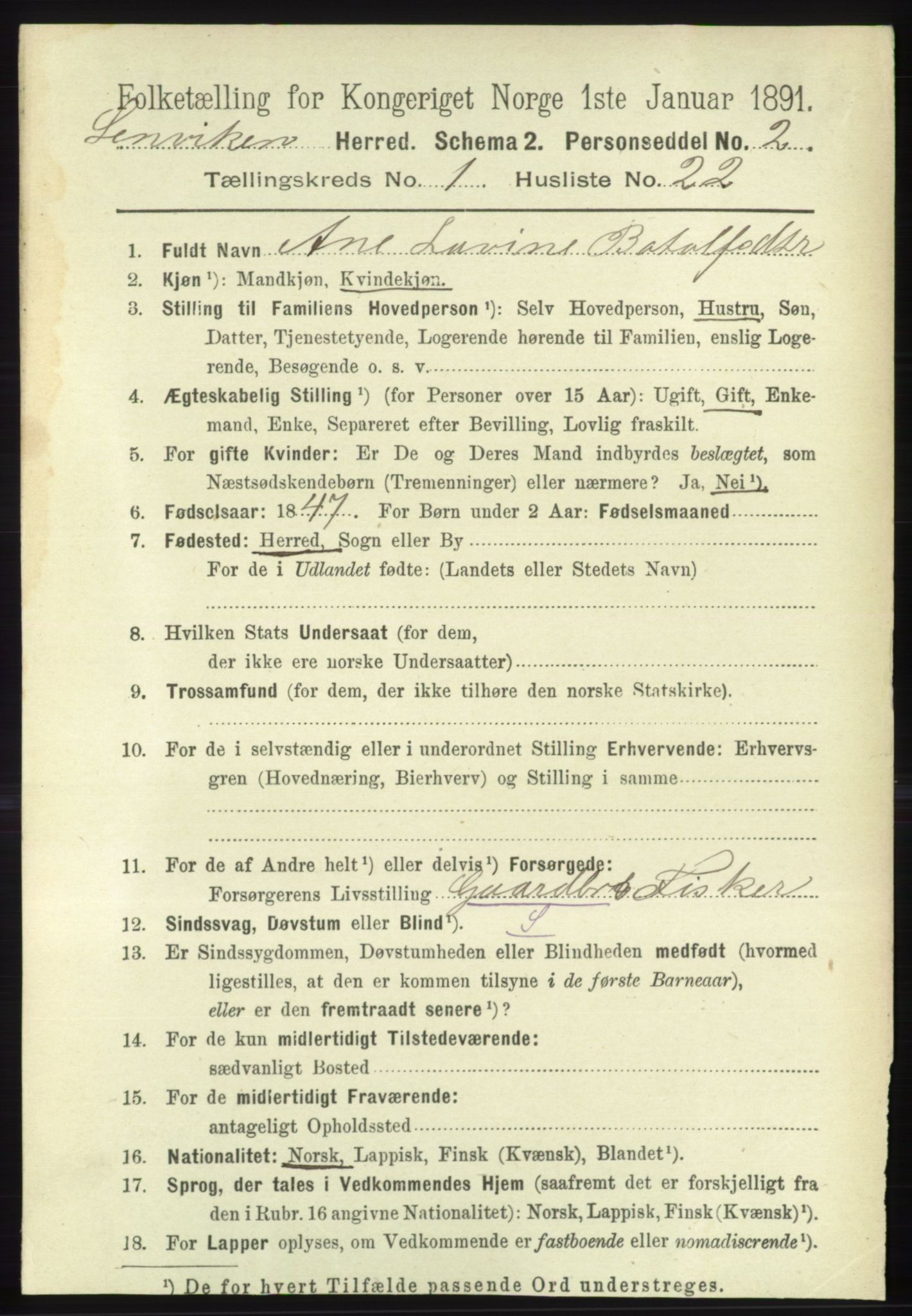 RA, Folketelling 1891 for 1931 Lenvik herred, 1891, s. 251