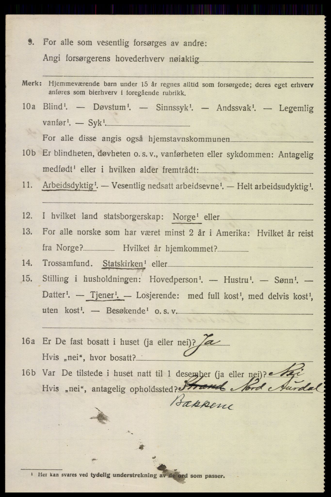 SAH, Folketelling 1920 for 0542 Nord-Aurdal herred, 1920, s. 10997