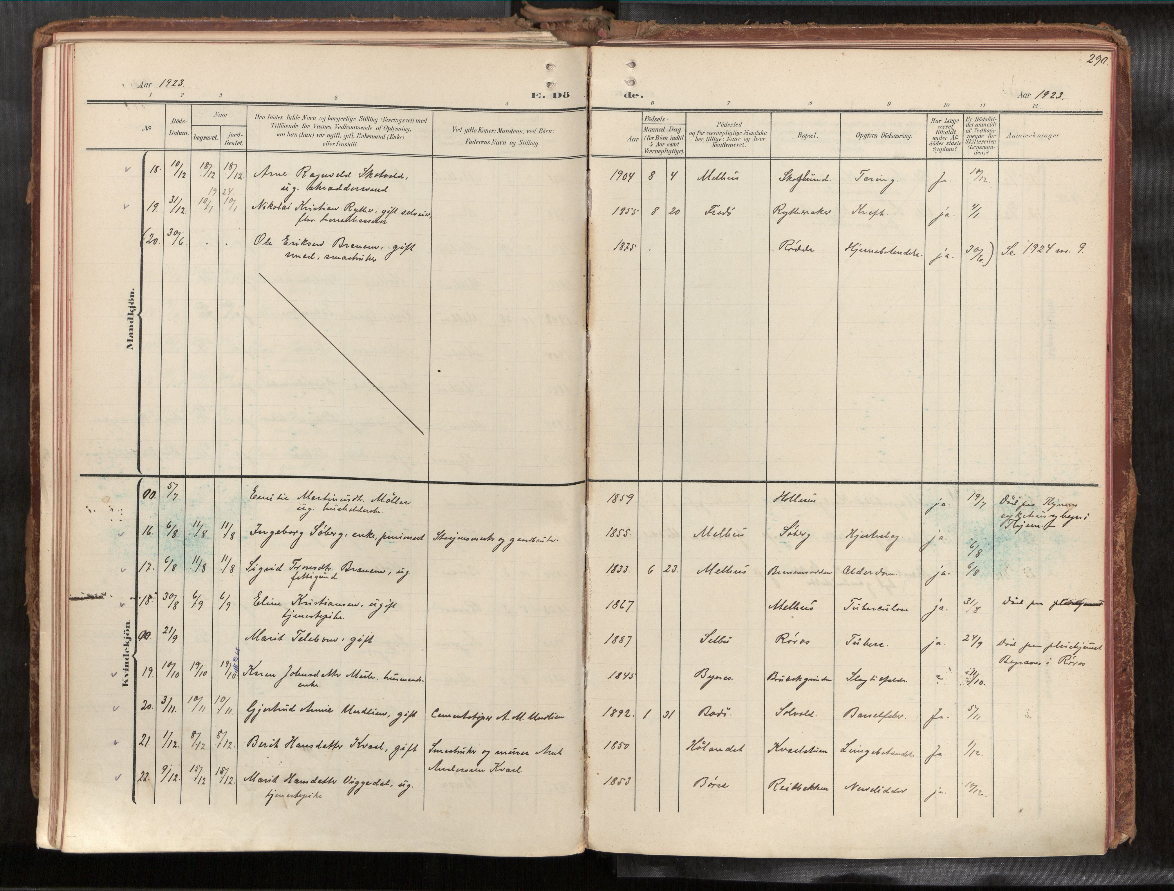 Ministerialprotokoller, klokkerbøker og fødselsregistre - Sør-Trøndelag, SAT/A-1456/691/L1085b: Ministerialbok nr. 691A18, 1908-1930, s. 290