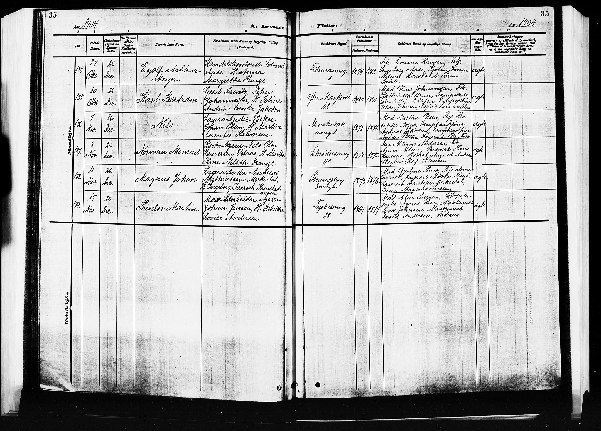 Nykirken Sokneprestembete, AV/SAB-A-77101/H/Hab: Klokkerbok nr. B 5, 1904-1908, s. 35