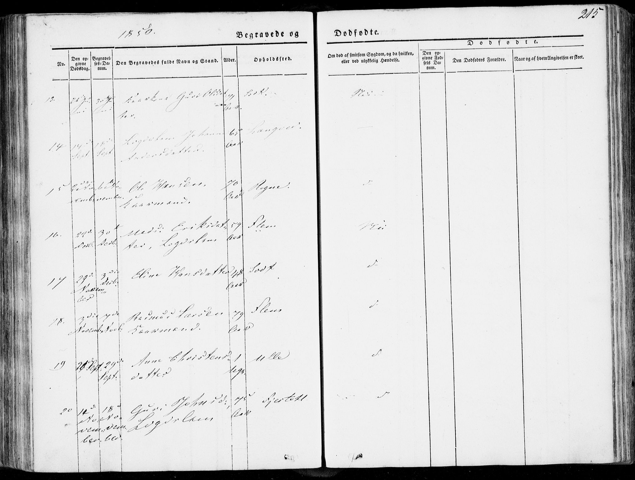 Ministerialprotokoller, klokkerbøker og fødselsregistre - Møre og Romsdal, SAT/A-1454/536/L0497: Ministerialbok nr. 536A06, 1845-1865, s. 215