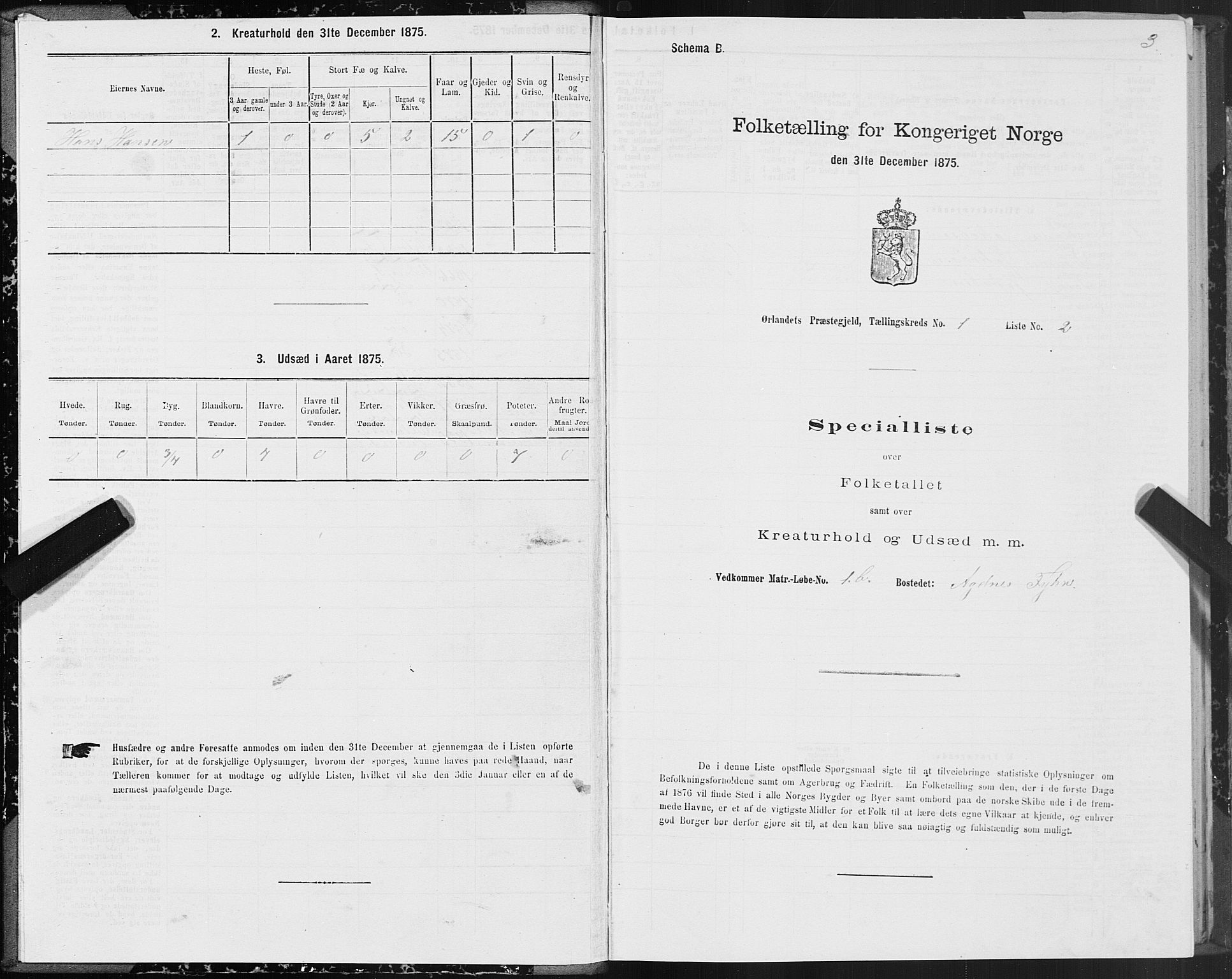 SAT, Folketelling 1875 for 1621P Ørland prestegjeld, 1875, s. 1003