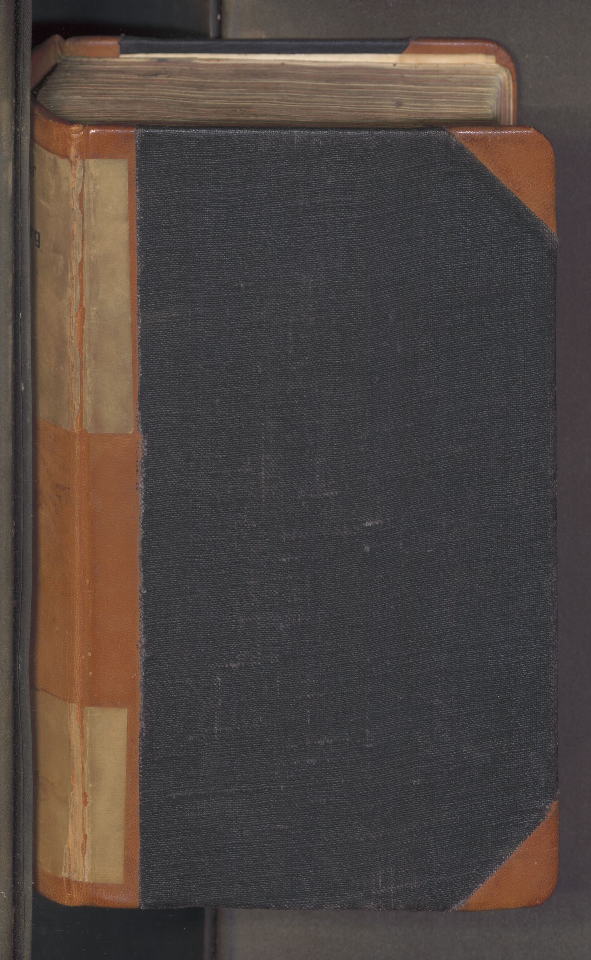 Søndre Jarlsberg sorenskriveri, AV/SAKO-A-129/F/Fa/L0029: Tingbok, 1819-1826