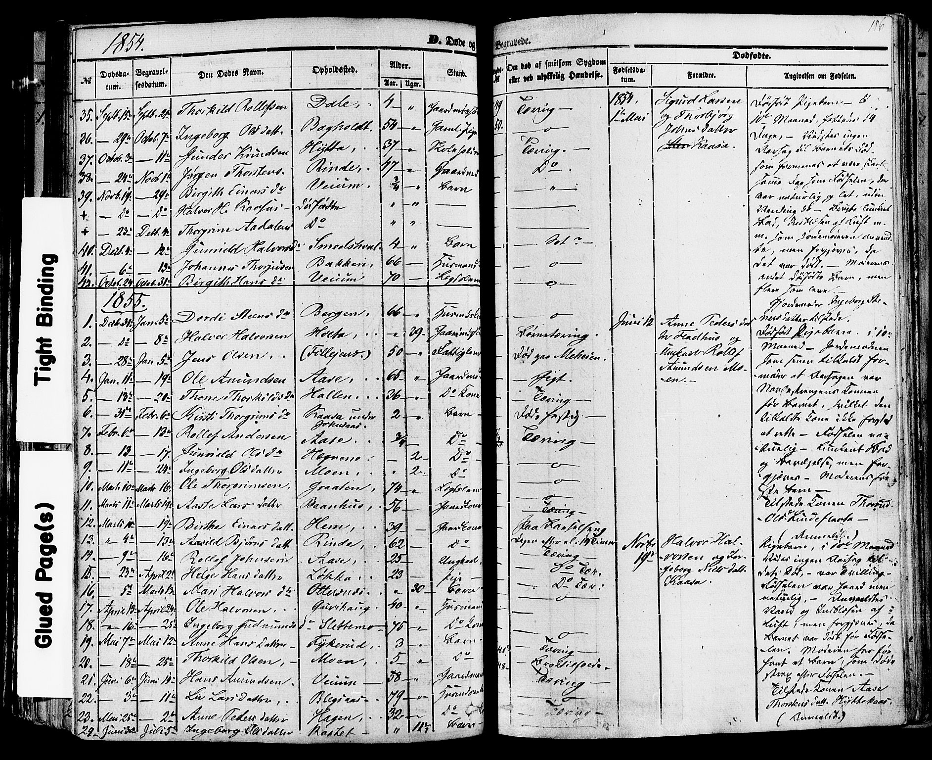 Sauherad kirkebøker, AV/SAKO-A-298/F/Fa/L0007: Ministerialbok nr. I 7, 1851-1873, s. 186