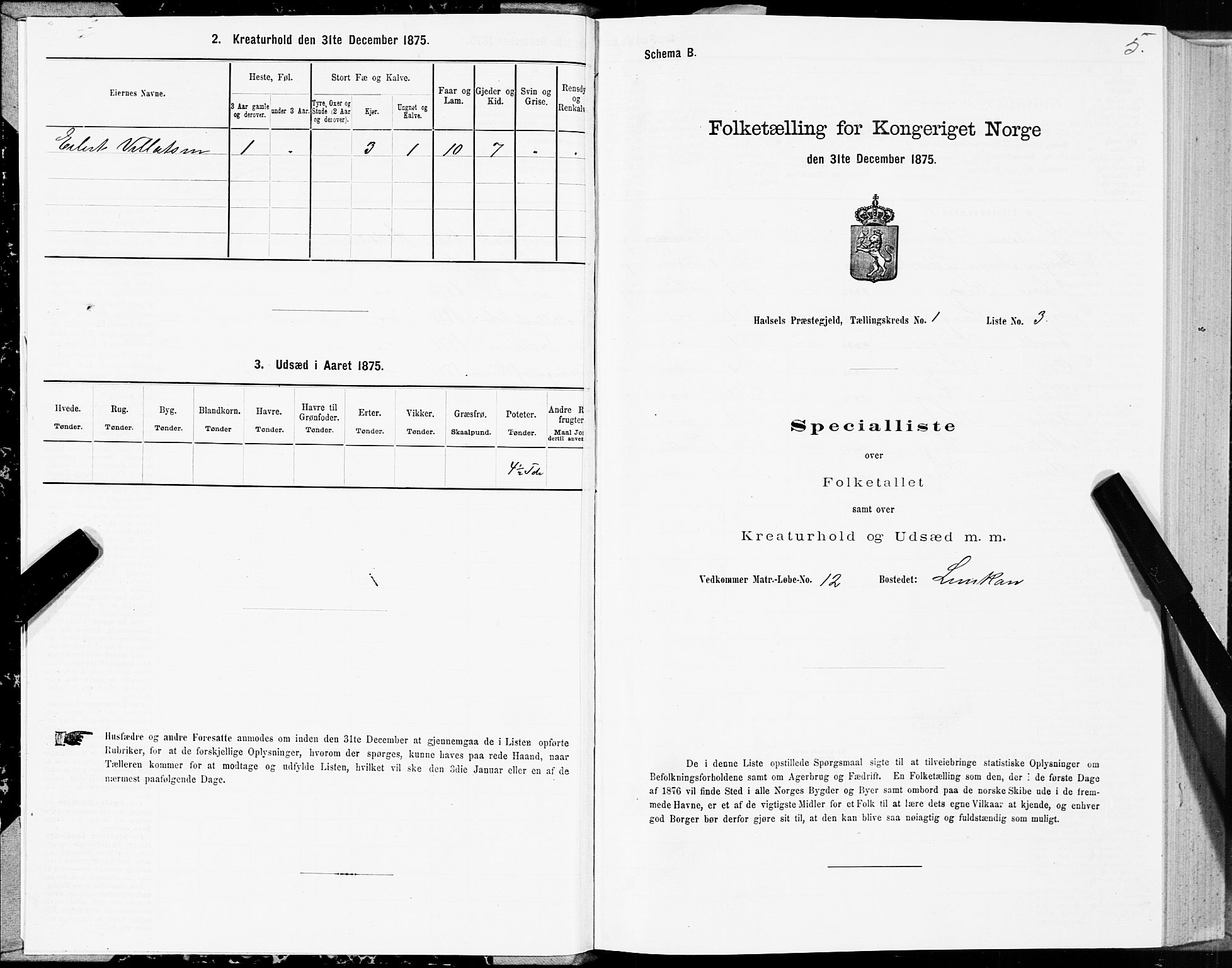 SAT, Folketelling 1875 for 1866P Hadsel prestegjeld, 1875, s. 1005