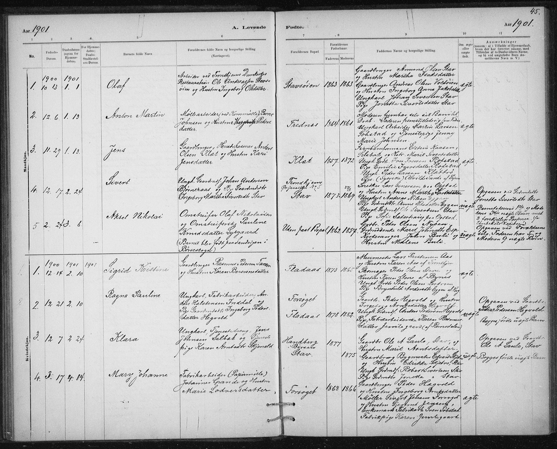 Ministerialprotokoller, klokkerbøker og fødselsregistre - Sør-Trøndelag, AV/SAT-A-1456/613/L0392: Ministerialbok nr. 613A01, 1887-1906, s. 45